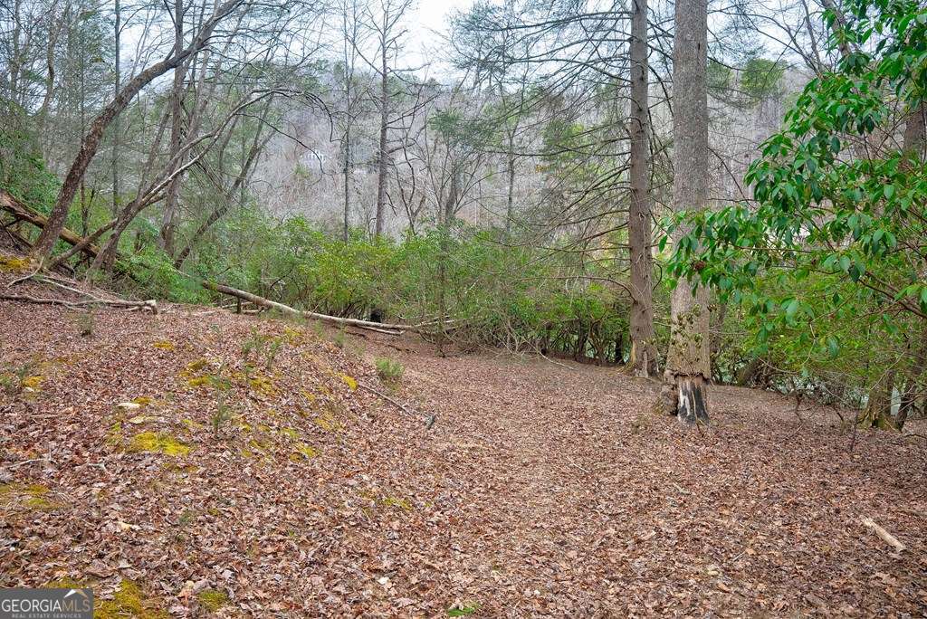 8 Acres Brunton Circle Property Photo 14