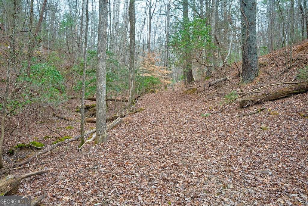 8 Acres Brunton Circle Property Photo 15
