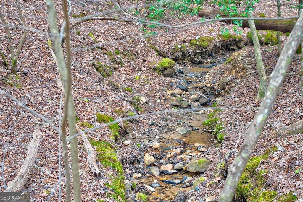 8 Acres Brunton Circle Property Photo 16