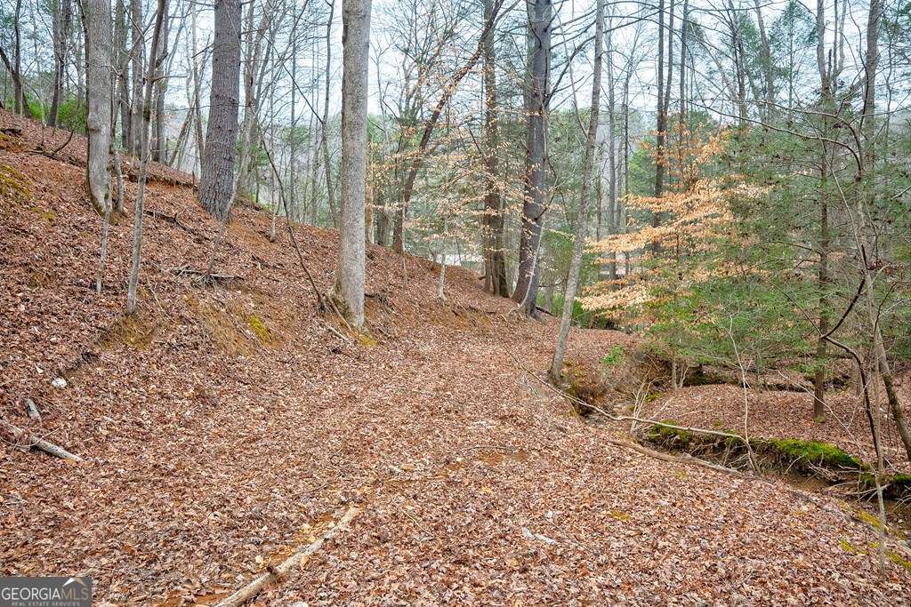8 Acres Brunton Circle Property Photo 17