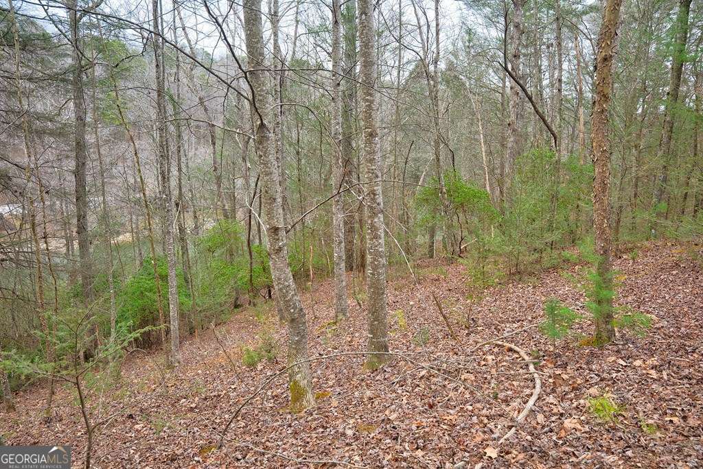 8 Acres Brunton Circle Property Photo 18