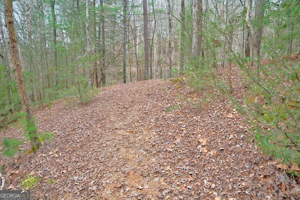 8 Acres Brunton Circle Property Photo 19