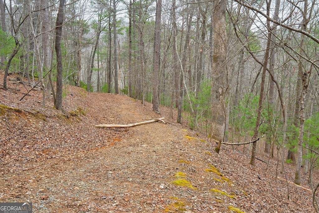 8 Acres Brunton Circle Property Photo 21