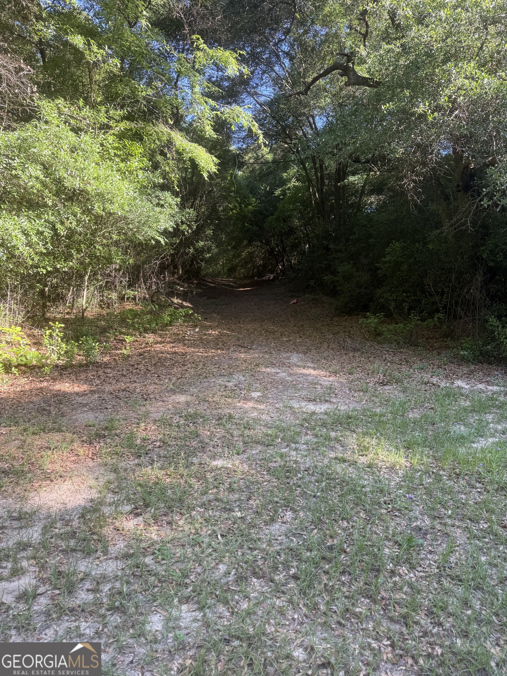 0 Thomas Street Property Photo 6