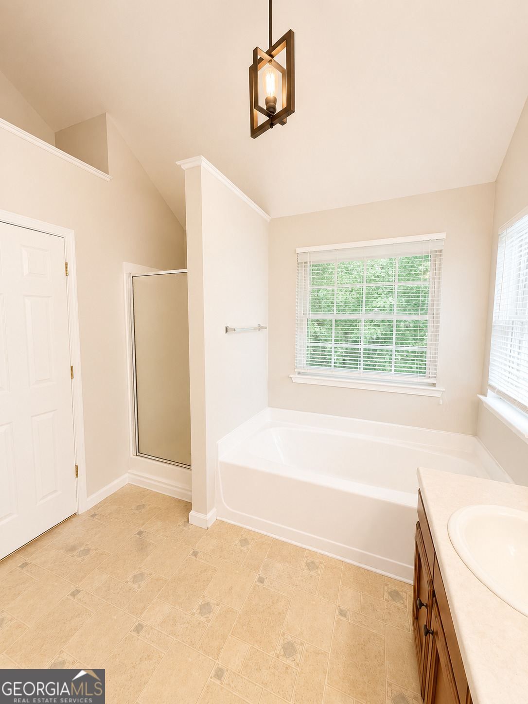 514 Shaggy Hickory Trail Property Photo 17