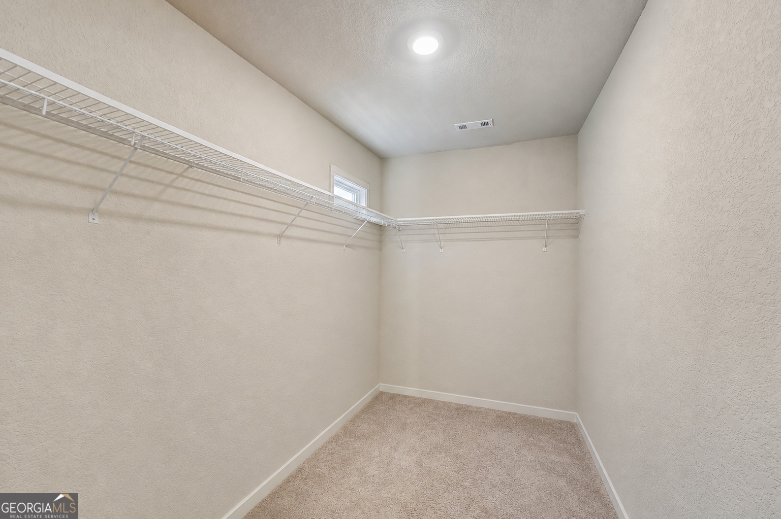 10933 Wheeler Trace Property Photo 16