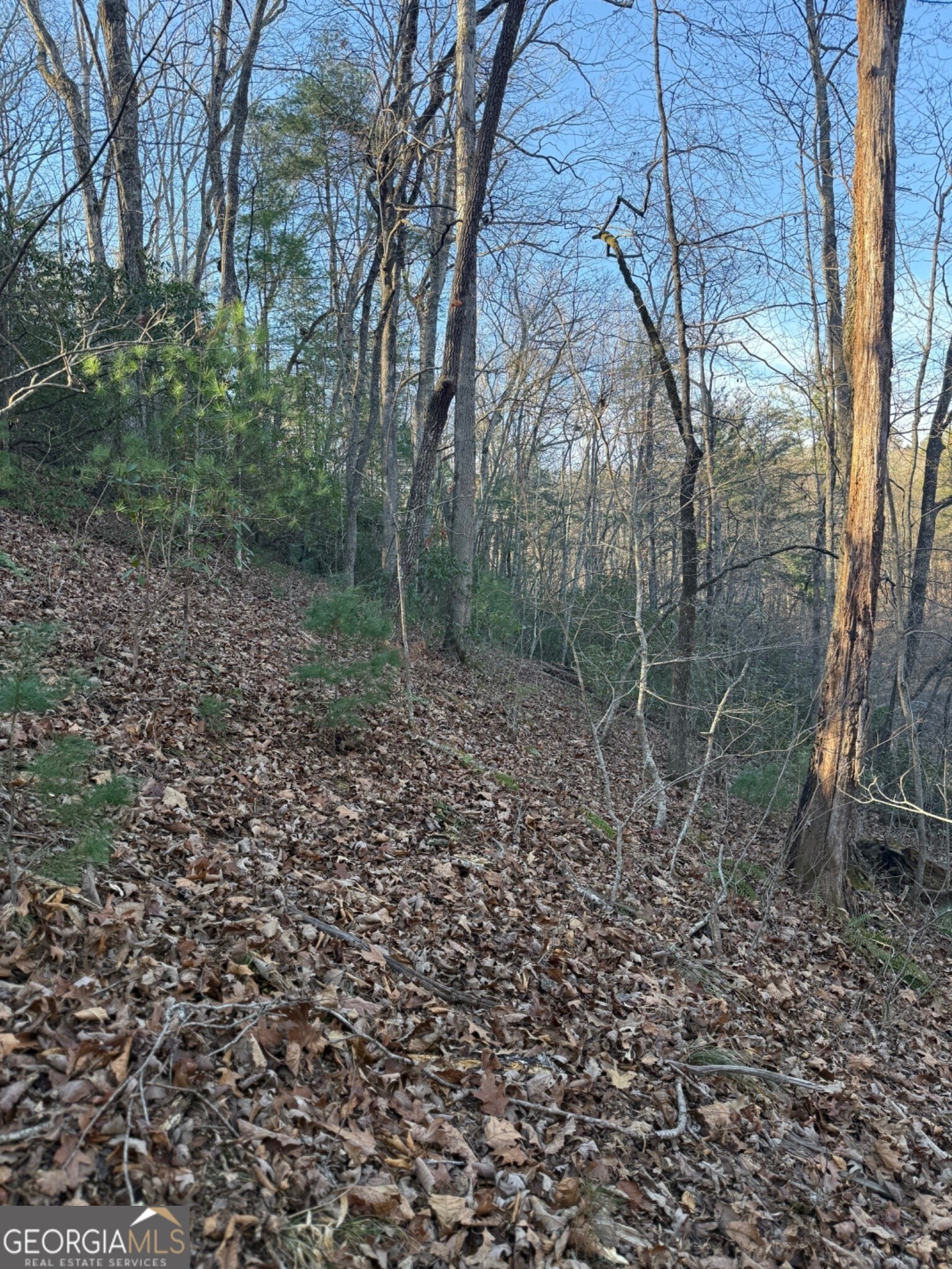 15 Mountain Gate Property Photo 2