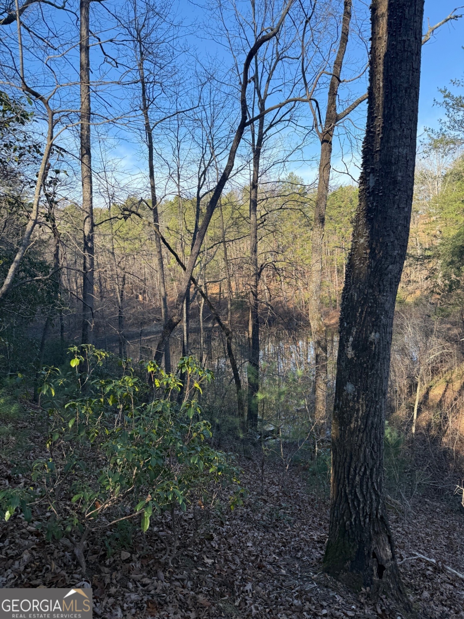 15 Mountain Gate Property Photo 3