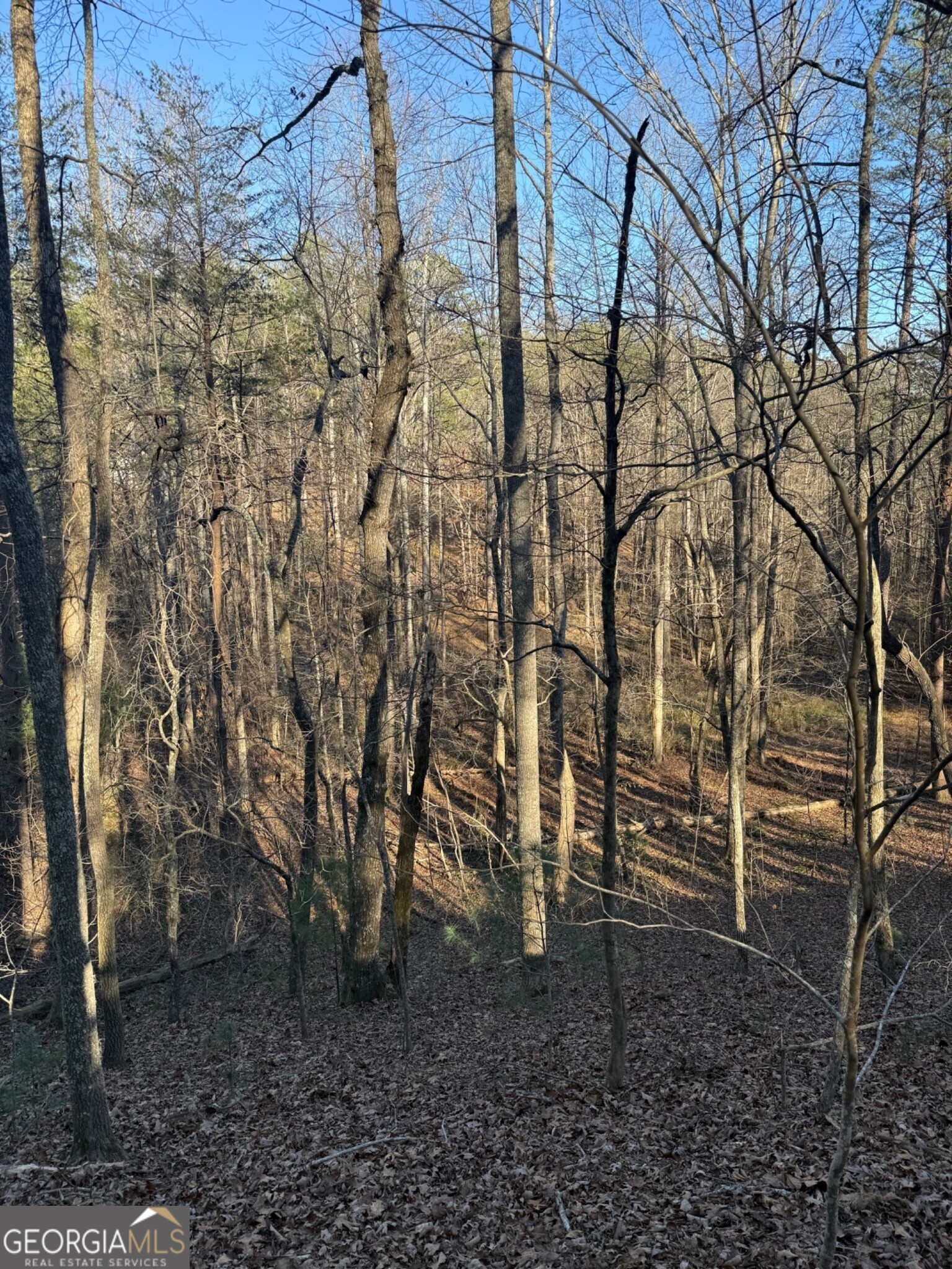 15 Mountain Gate Property Photo 4