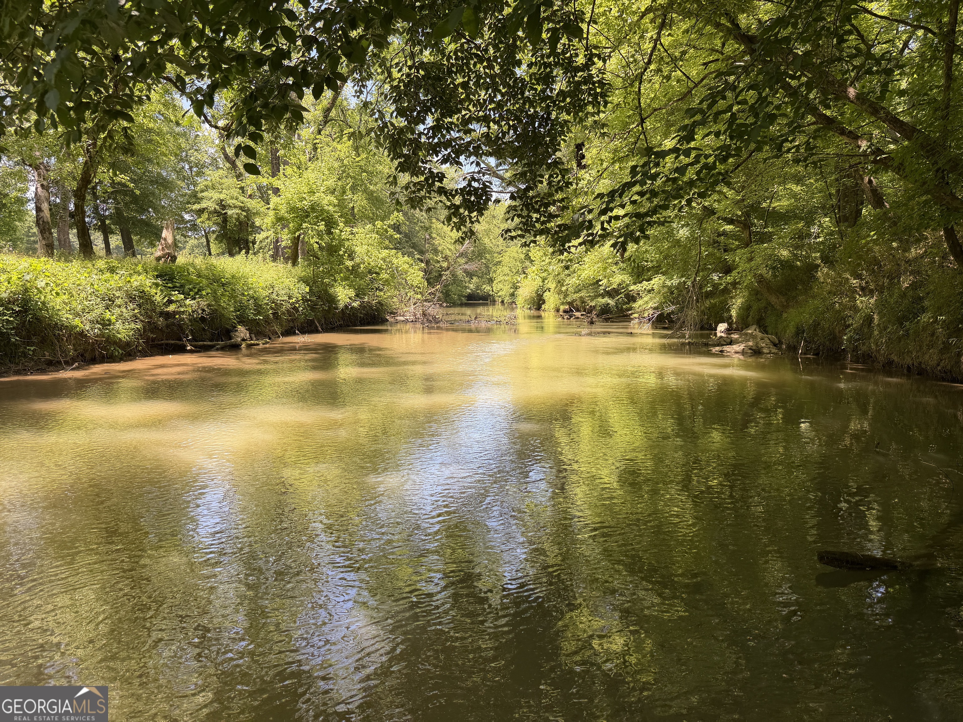 1593 Old Alabama Road Property Photo 1