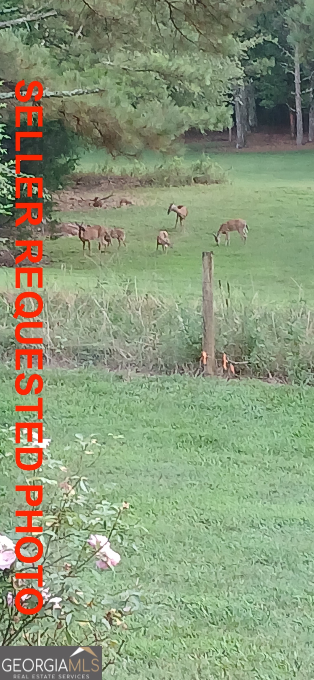 1593 Old Alabama Road Property Photo 4
