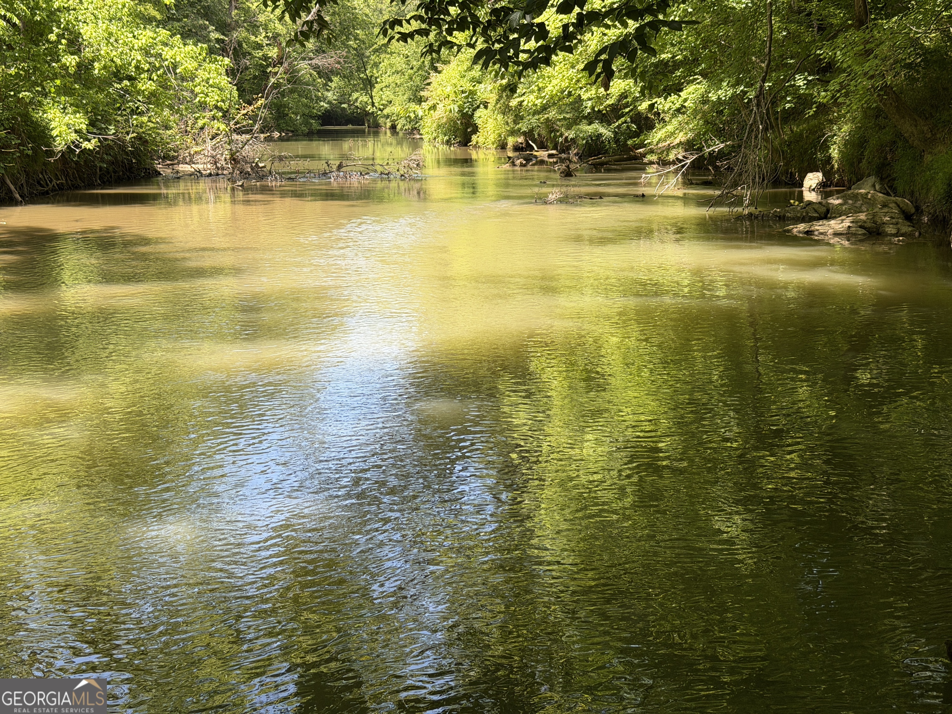 1593 Old Alabama Road Property Photo 6