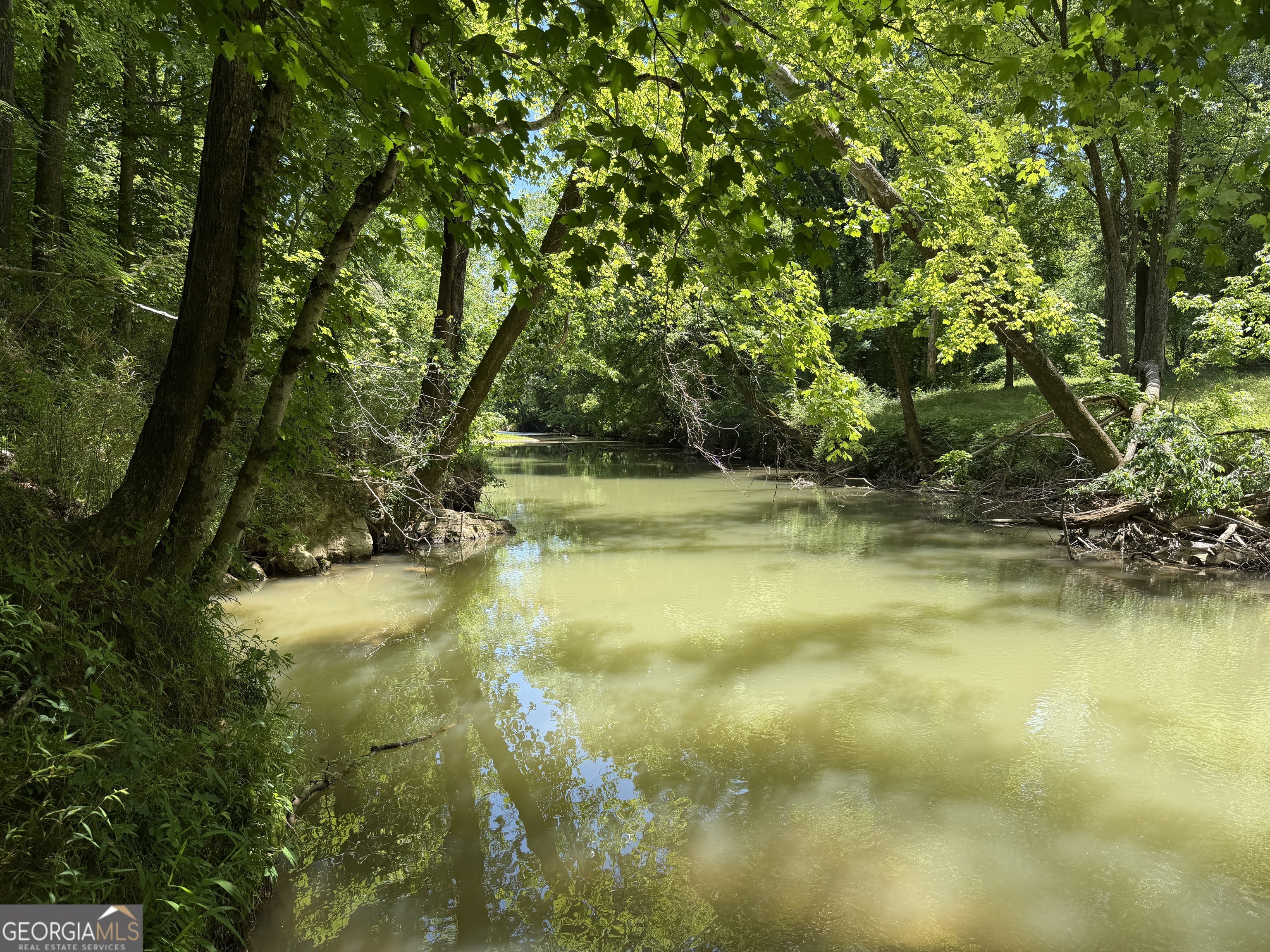 1593 Old Alabama Road Property Photo 7
