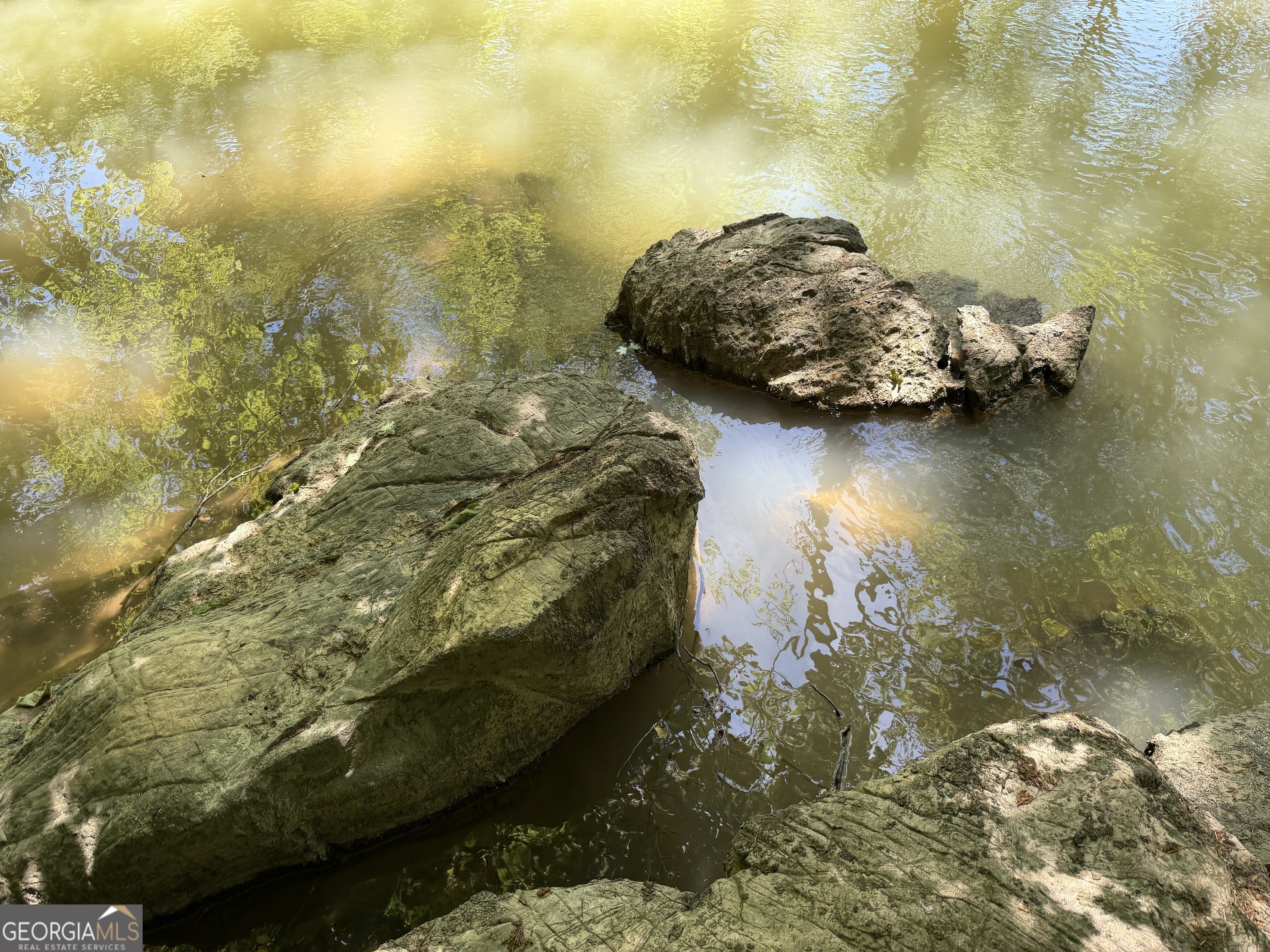 1593 Old Alabama Road Property Photo 11