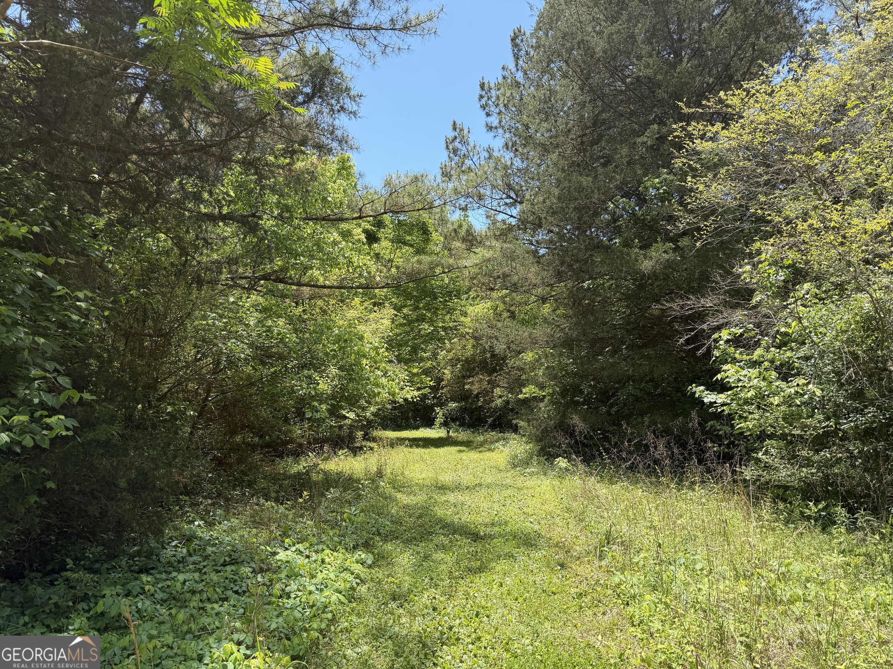 1593 Old Alabama Road Property Photo 14