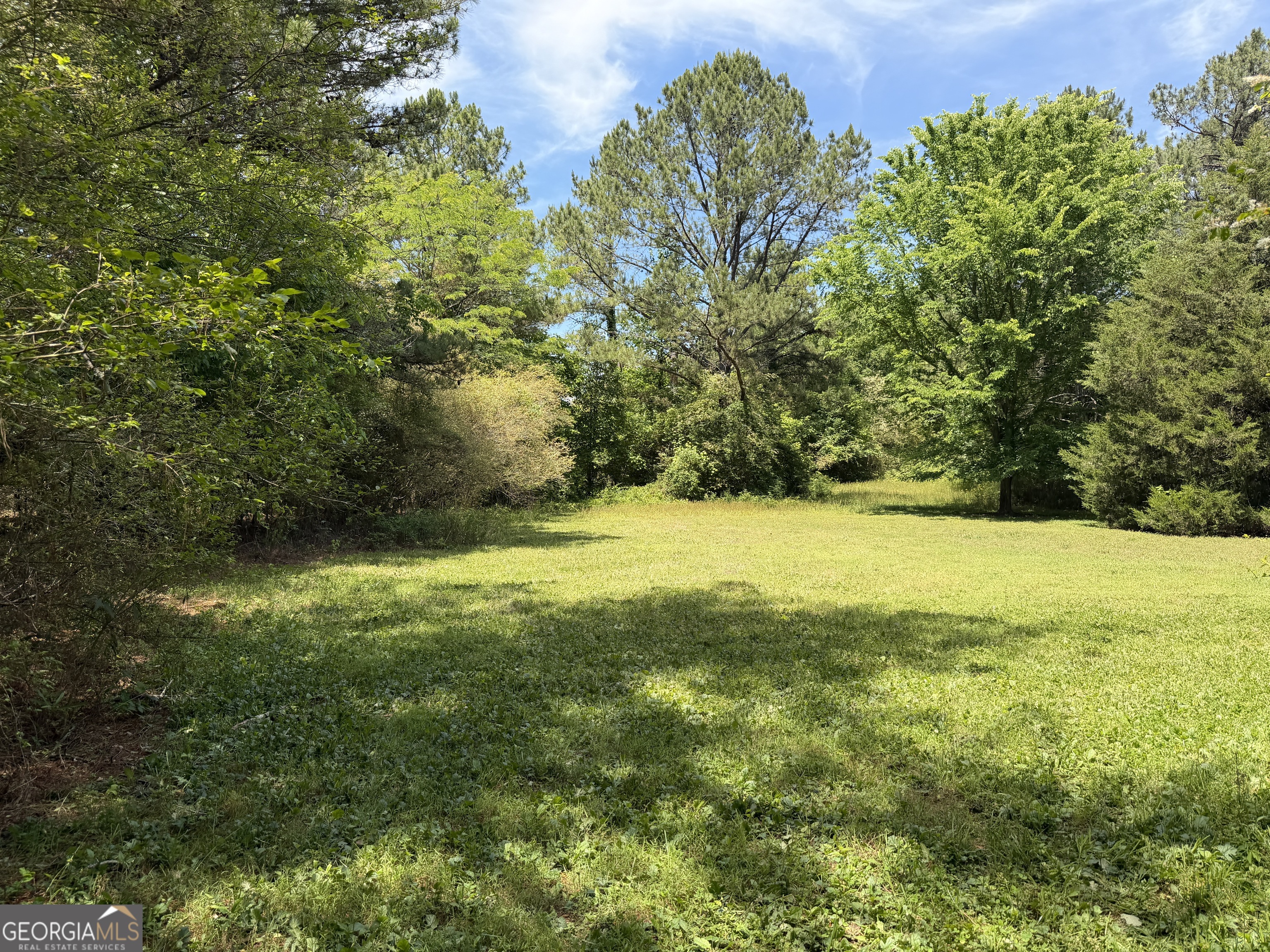 1593 Old Alabama Road Property Photo 15