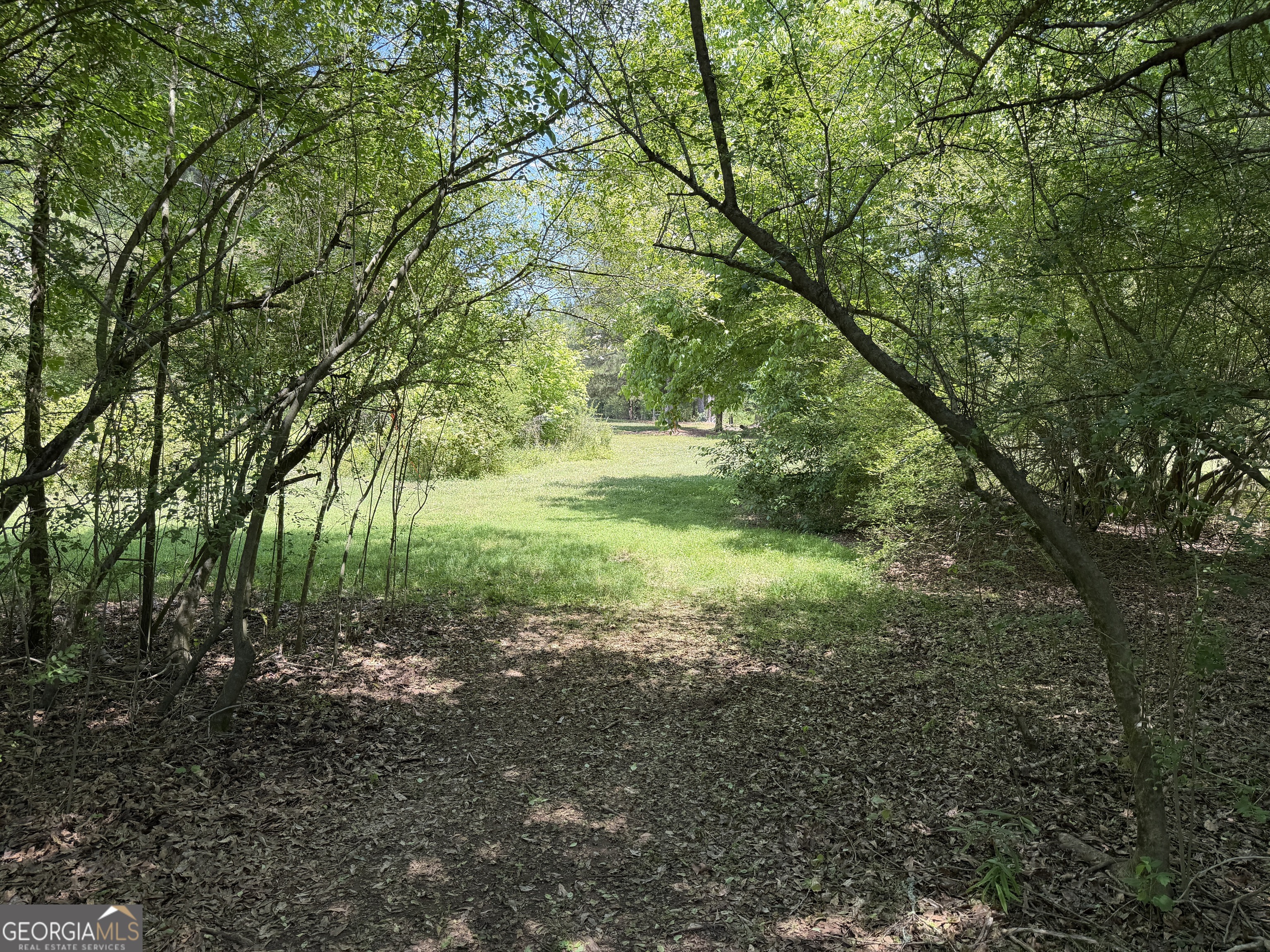 1593 Old Alabama Road Property Photo 17