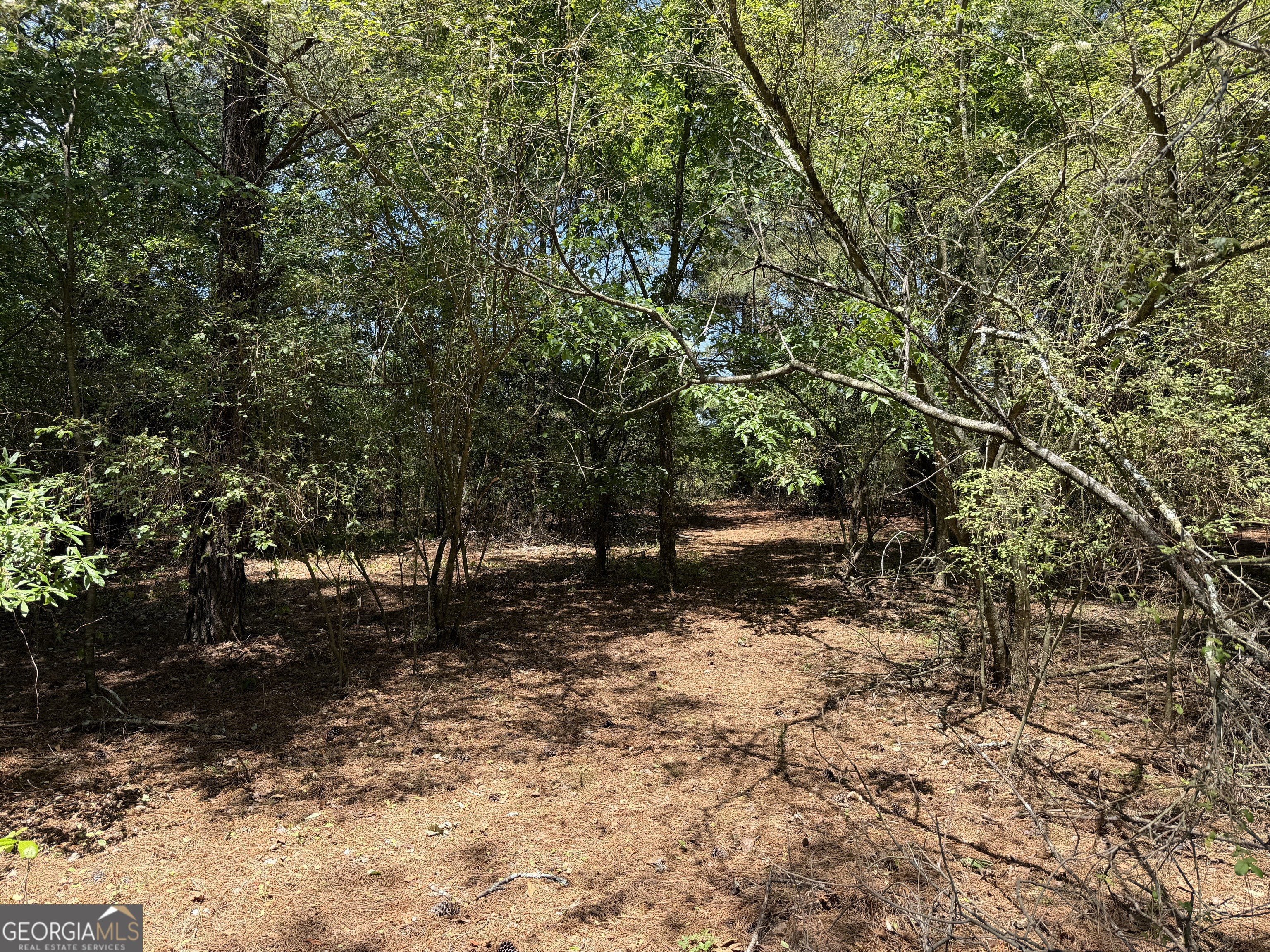 1593 Old Alabama Road Property Photo 18