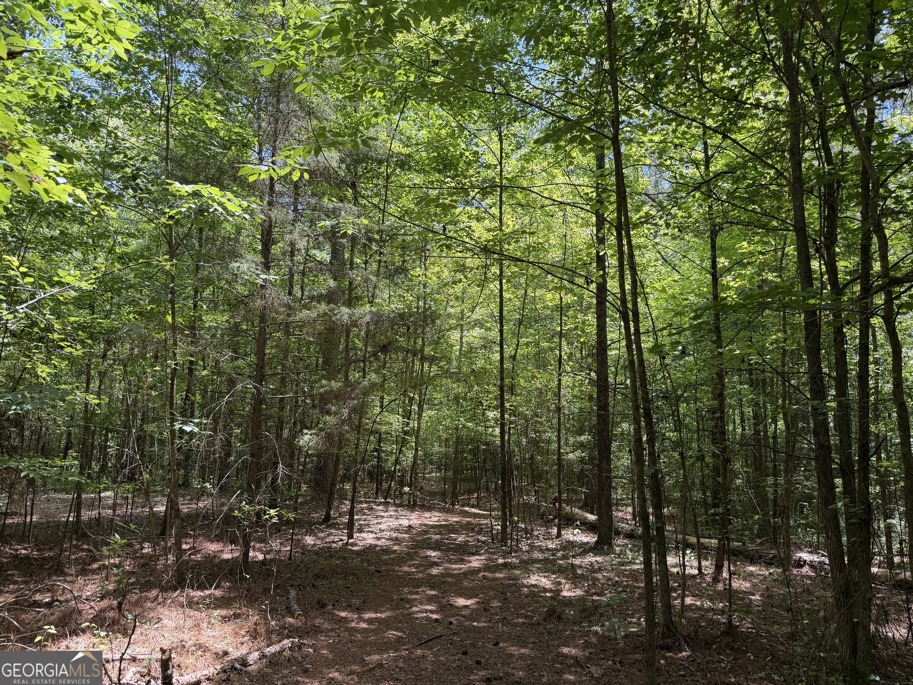 1593 Old Alabama Road Property Photo 20