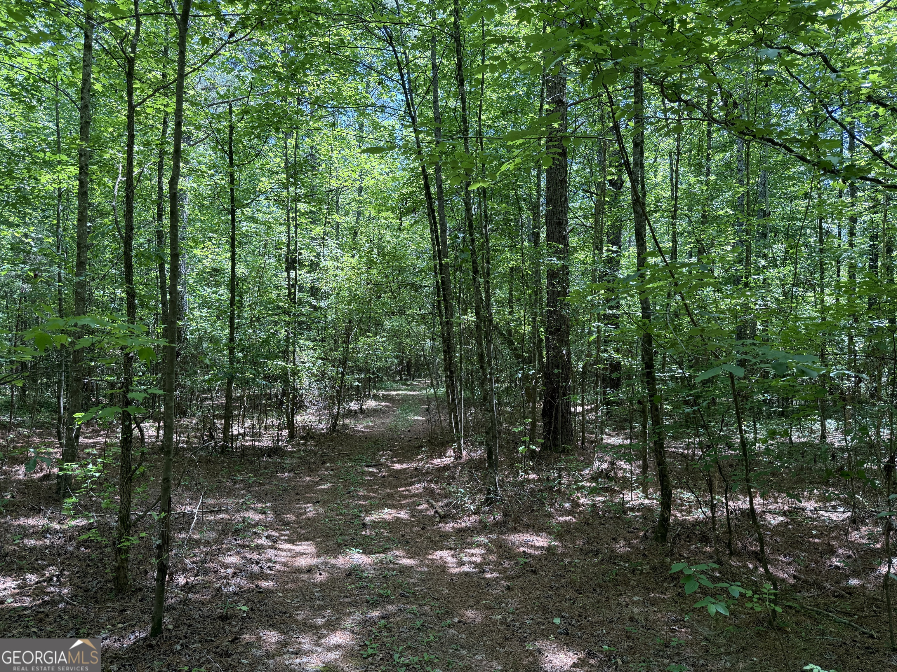 1593 Old Alabama Road Property Photo 21
