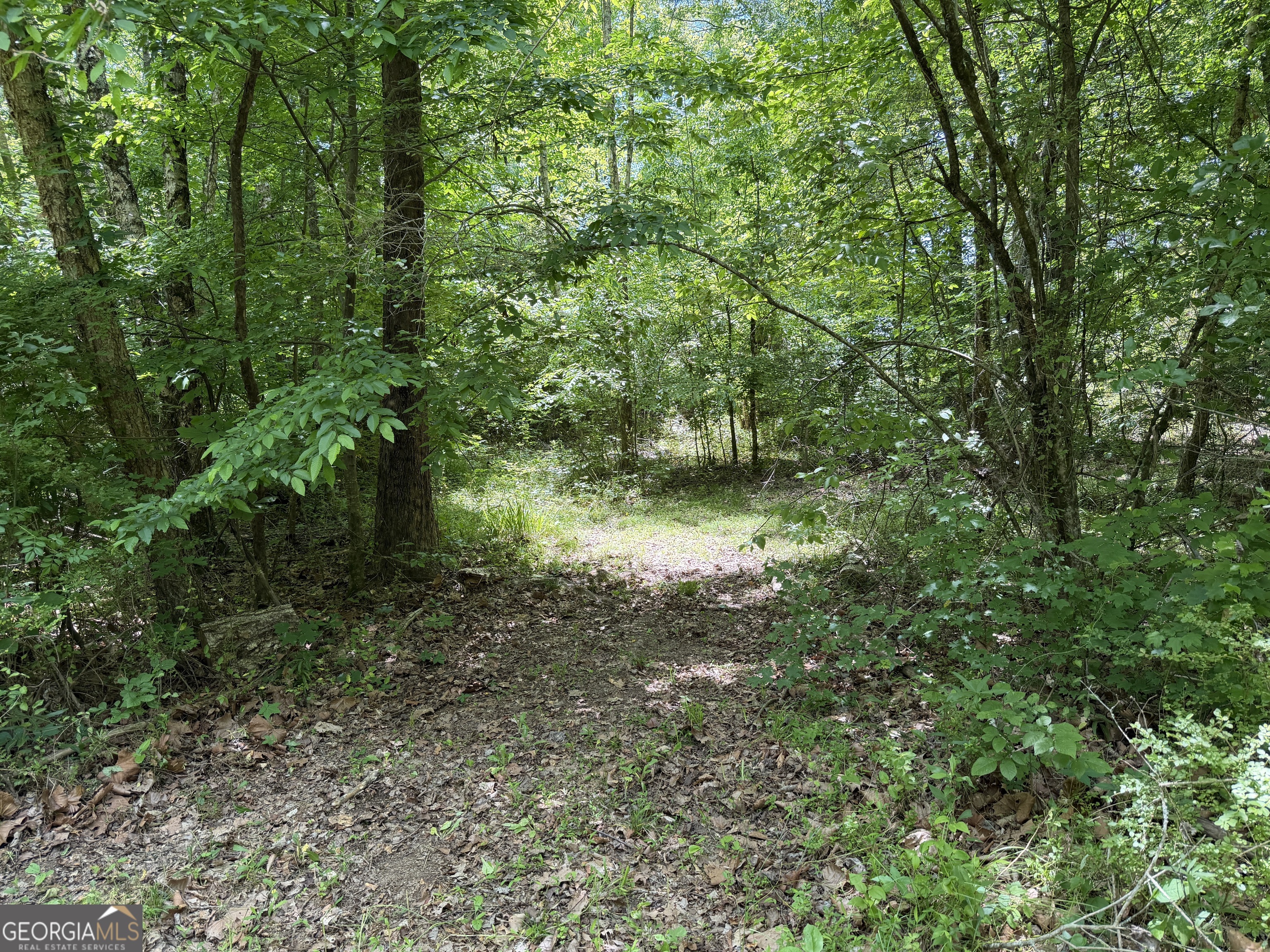 1593 Old Alabama Road Property Photo 22