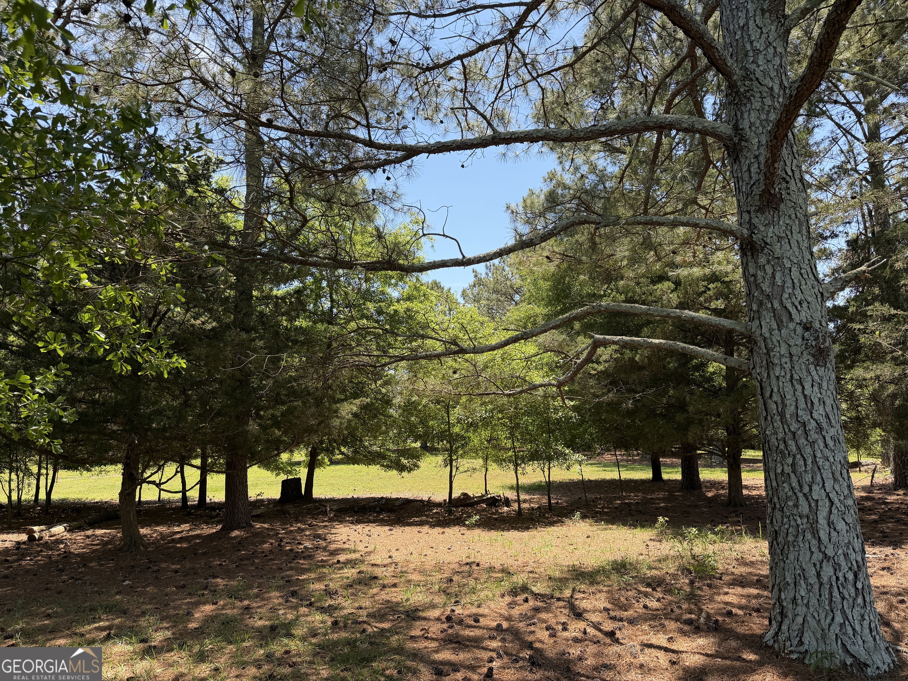 1593 Old Alabama Road Property Photo 25