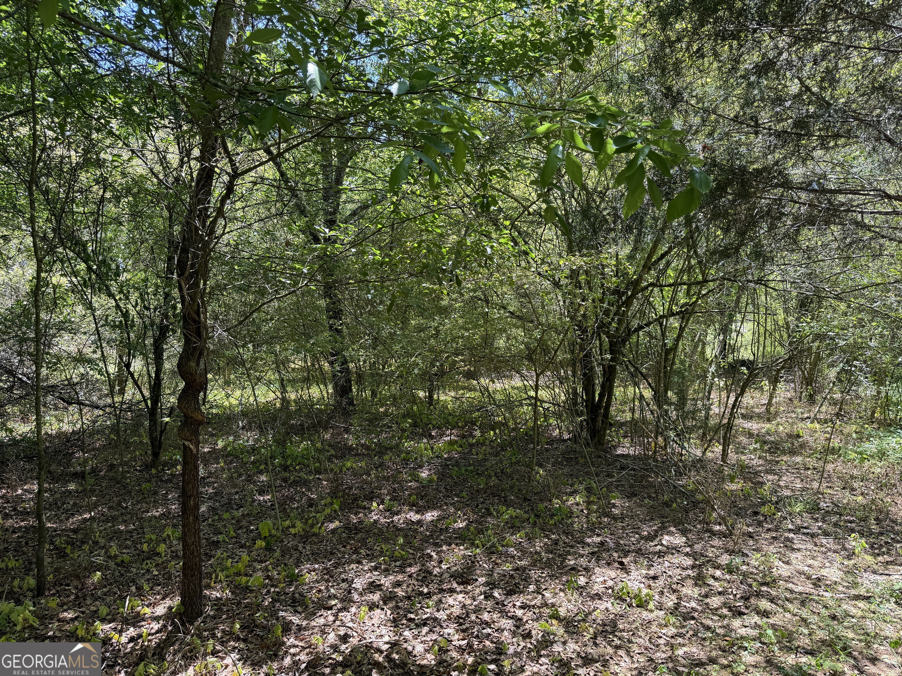 1593 Old Alabama Road Property Photo 26