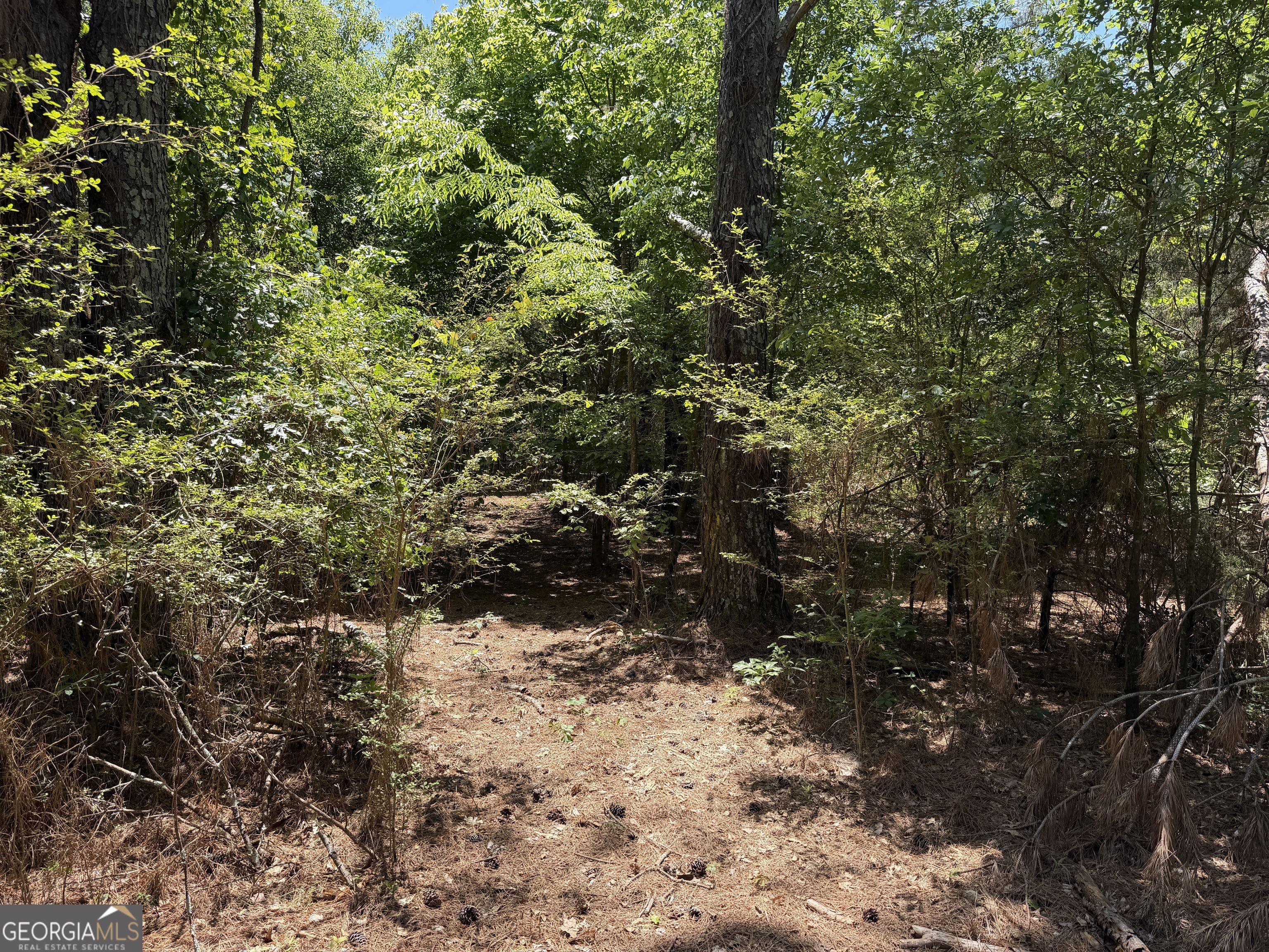 1593 Old Alabama Road Property Photo 27