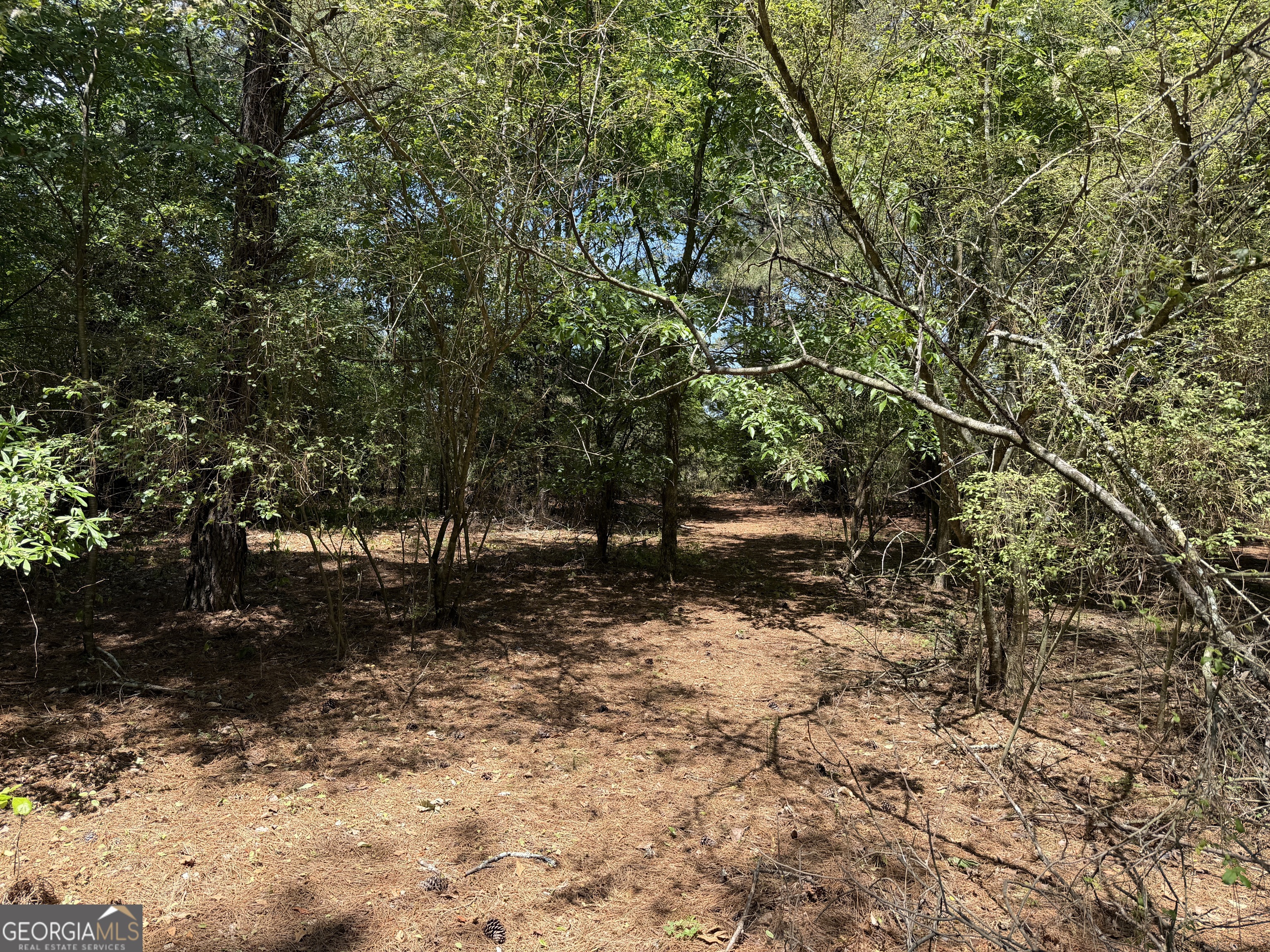 1593 Old Alabama Road Property Photo 28