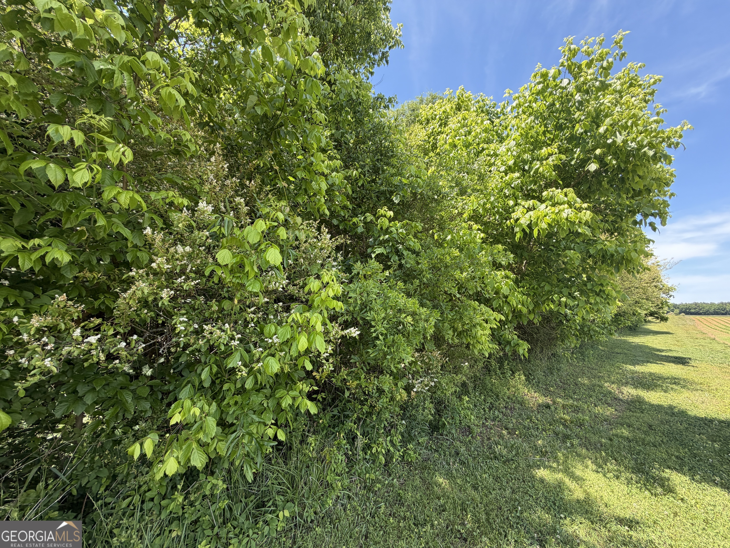 1593 Old Alabama Road Property Photo 30