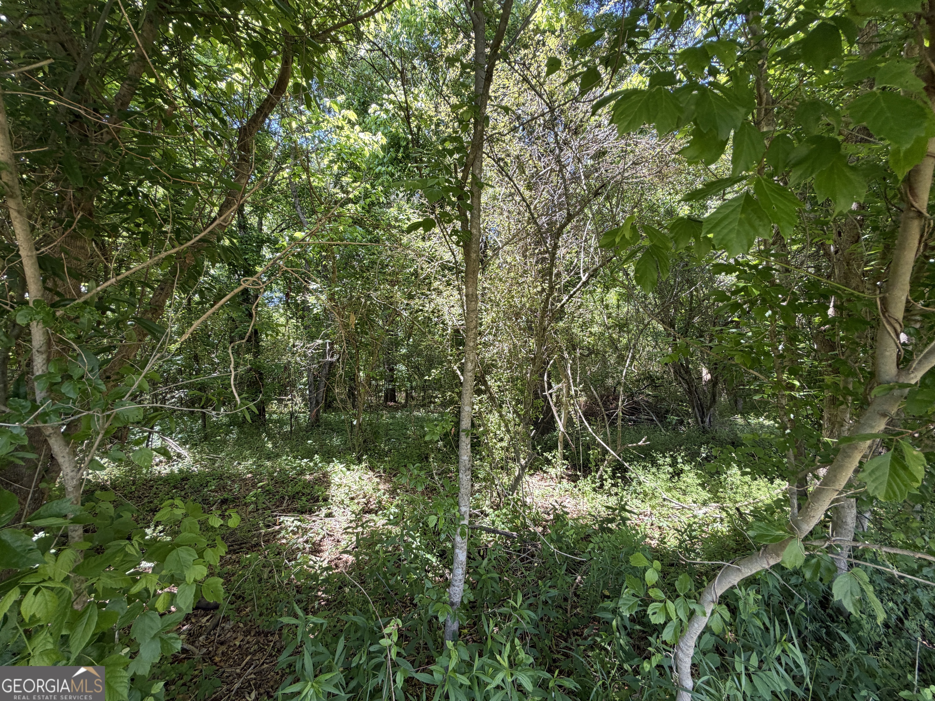 1593 Old Alabama Road Property Photo 31