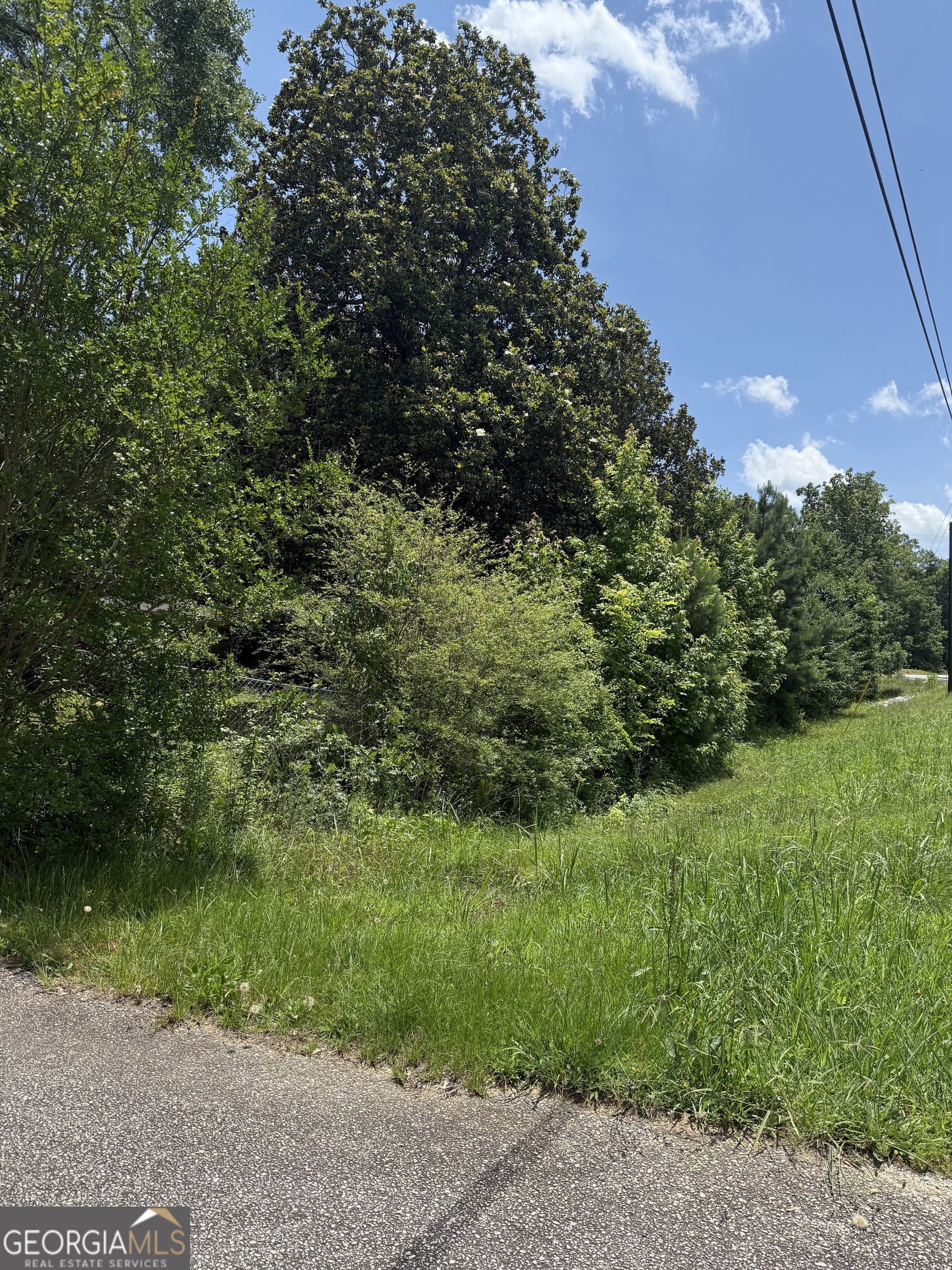 1810 Highway 138 E Property Photo 13