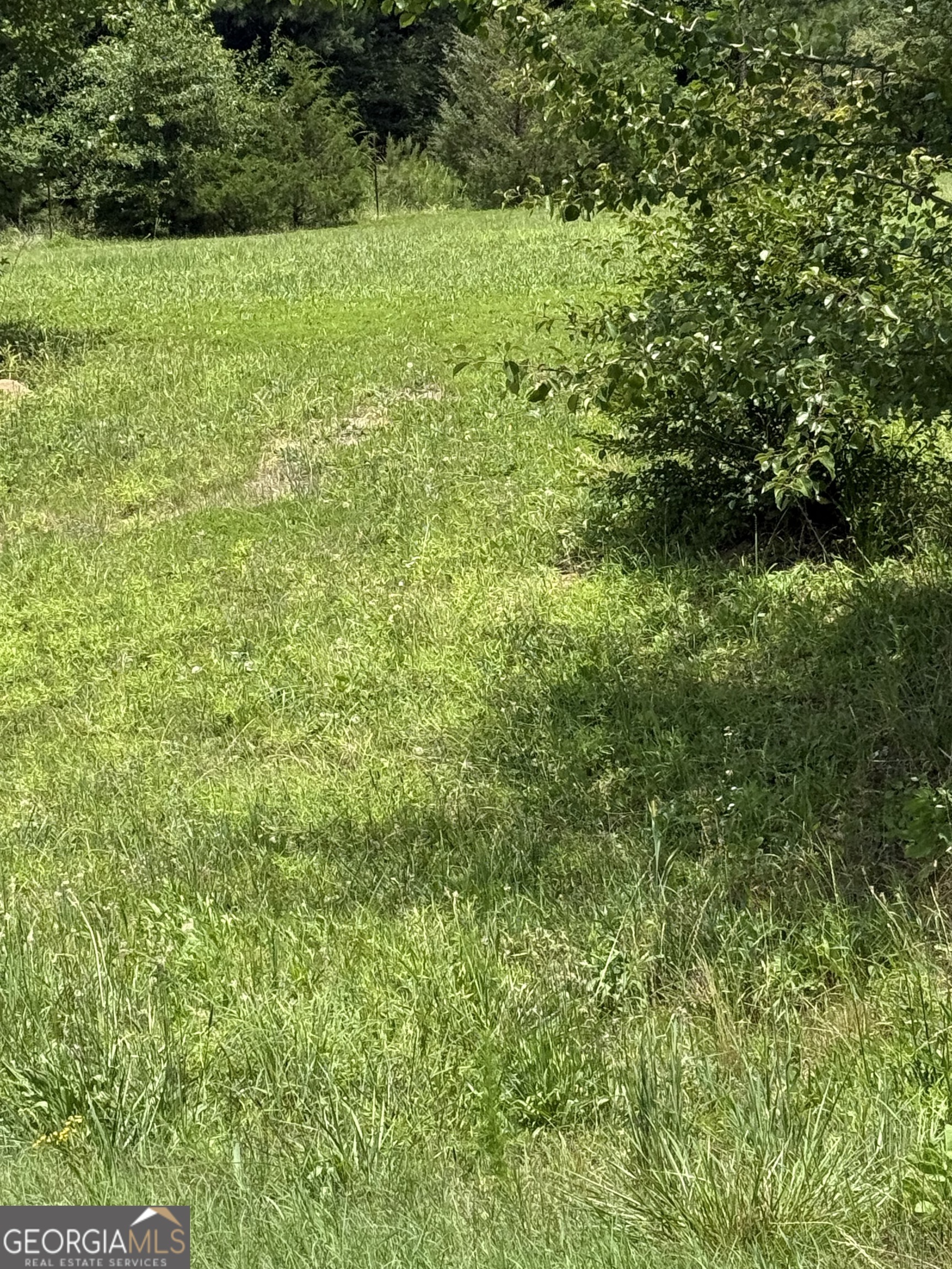 1810 Highway 138 E Property Photo 23