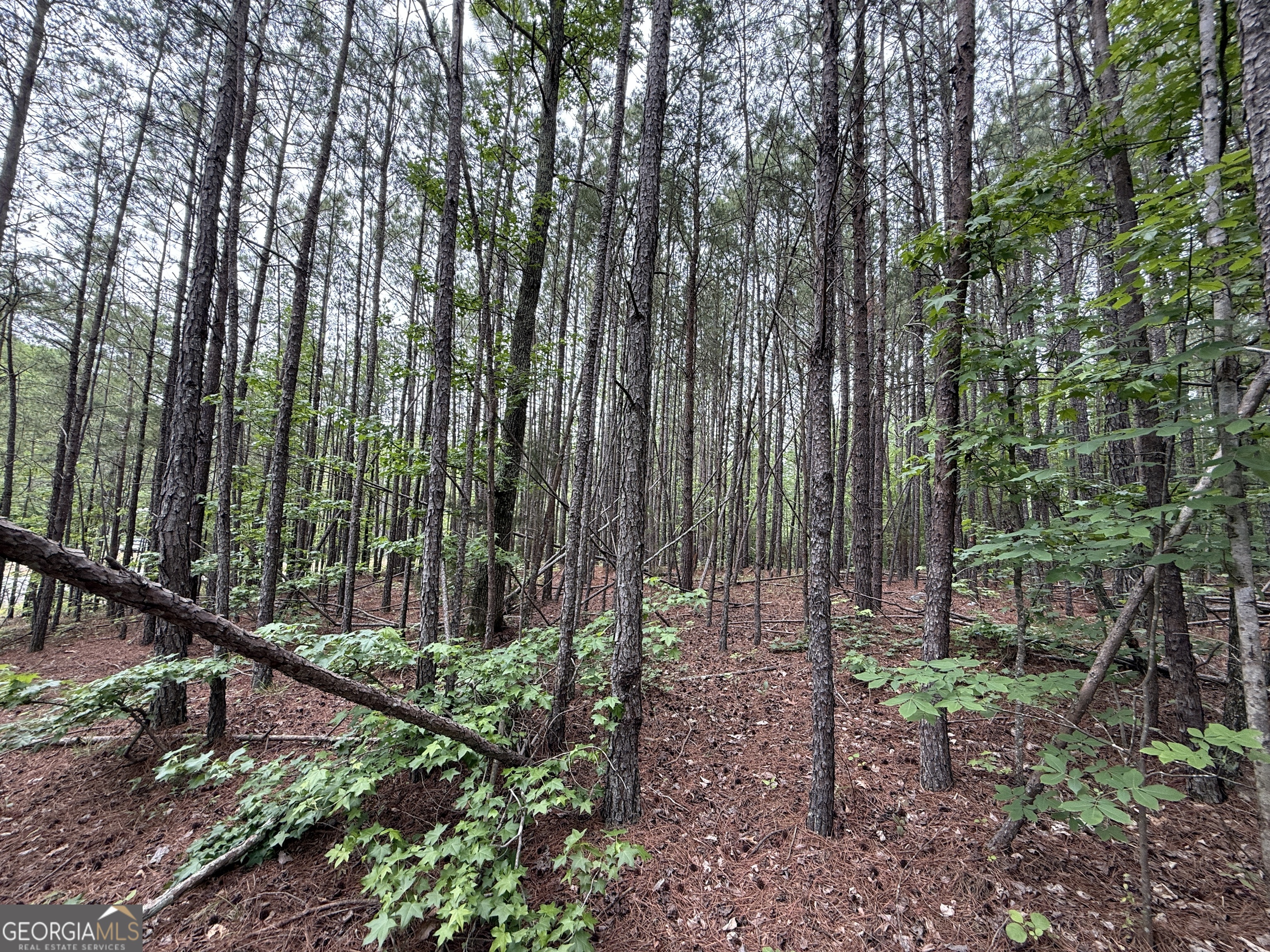 0 Natures Walk Drive Property Photo 1