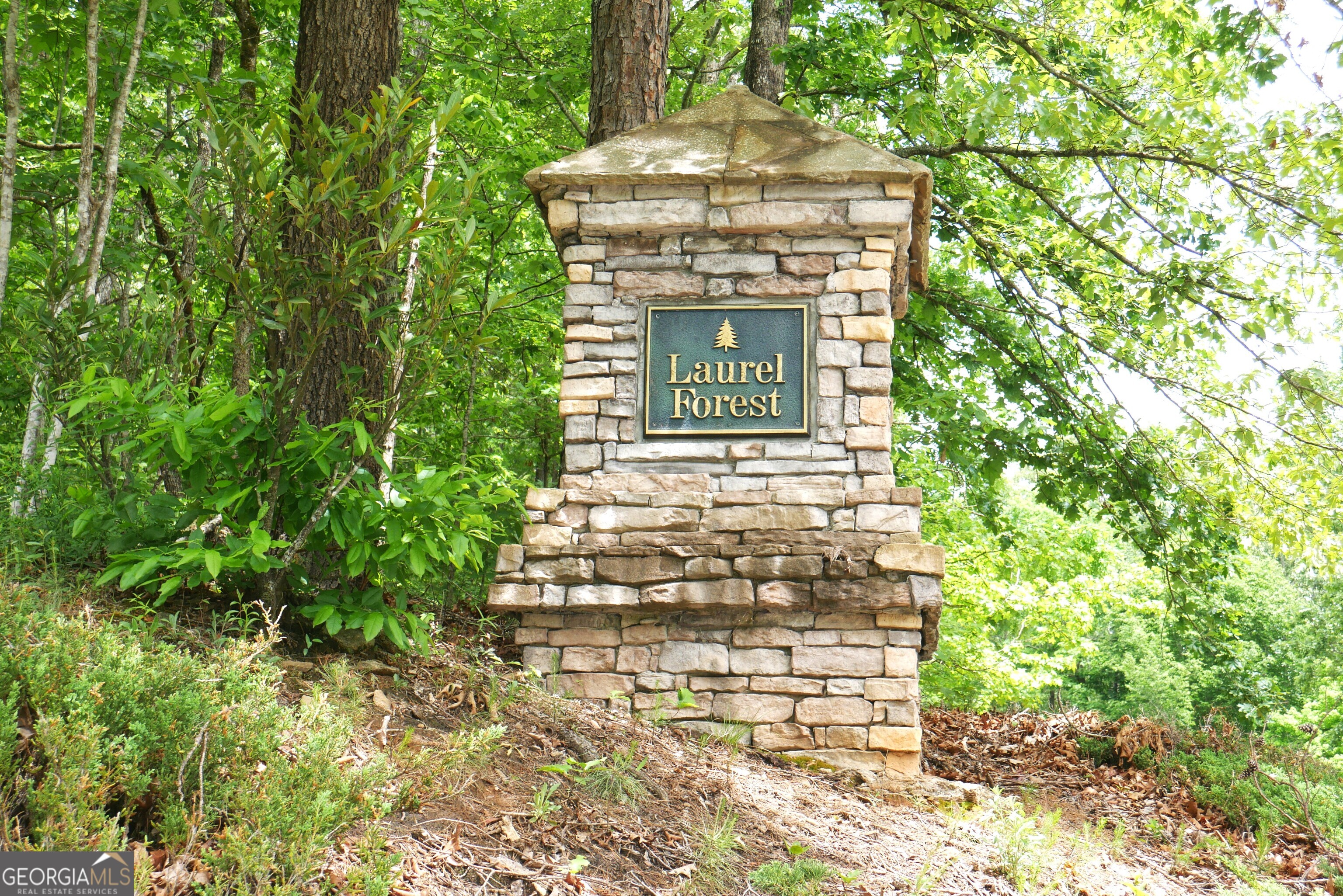 24 Lake Laurel Drive Property Photo 2