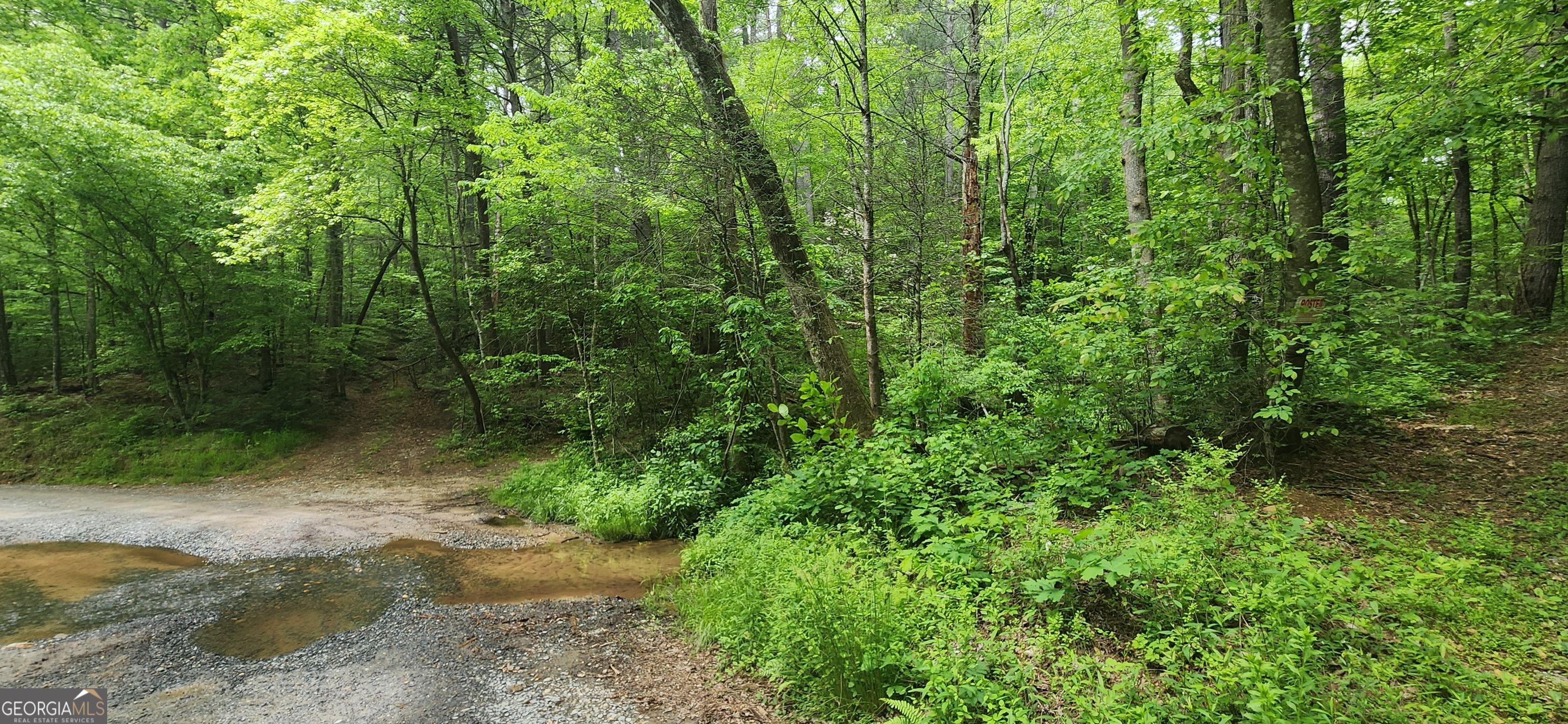 13 Ac Goose Island Road Property Photo 1