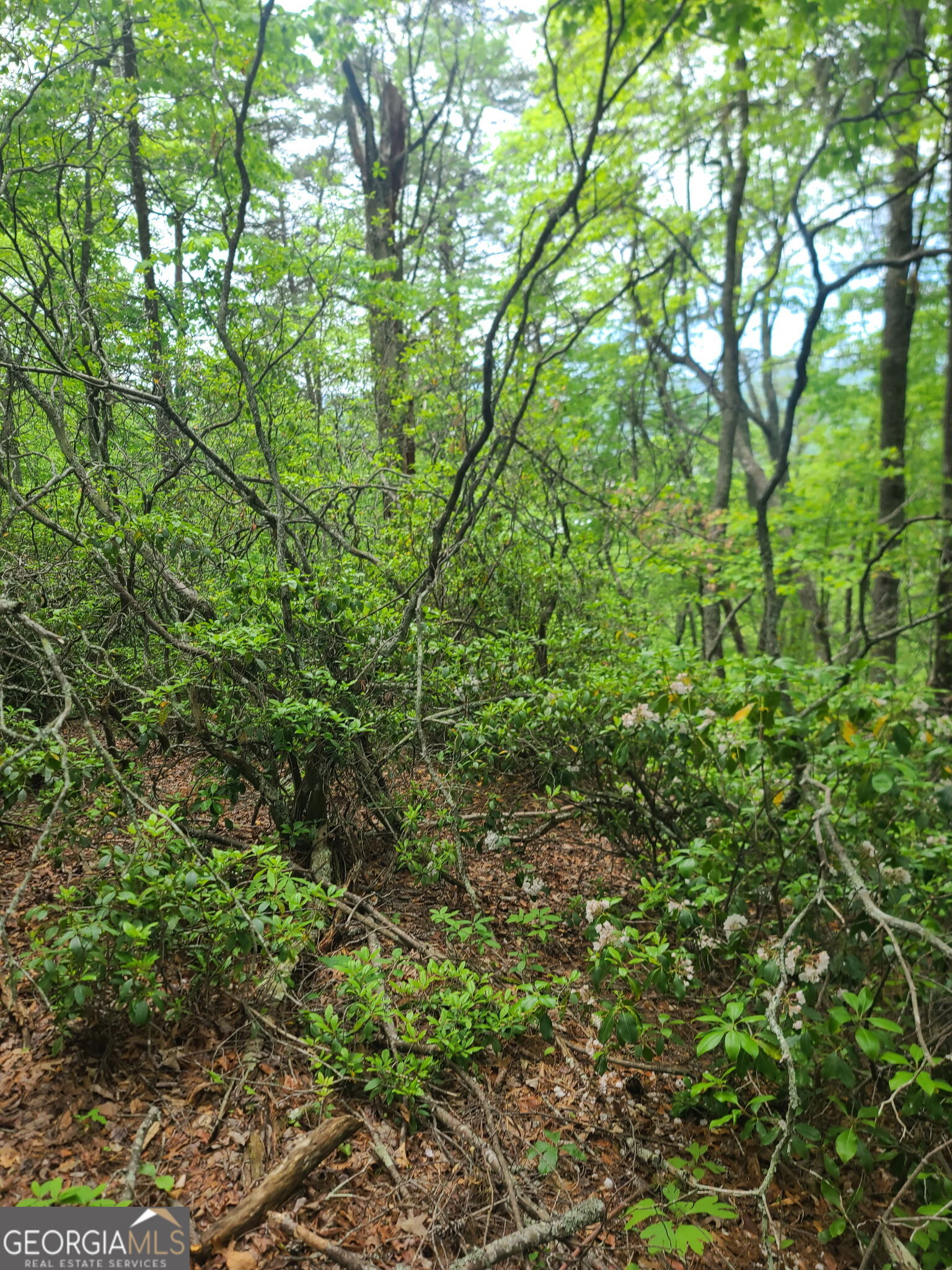 B Shake Hollow Property Photo 9