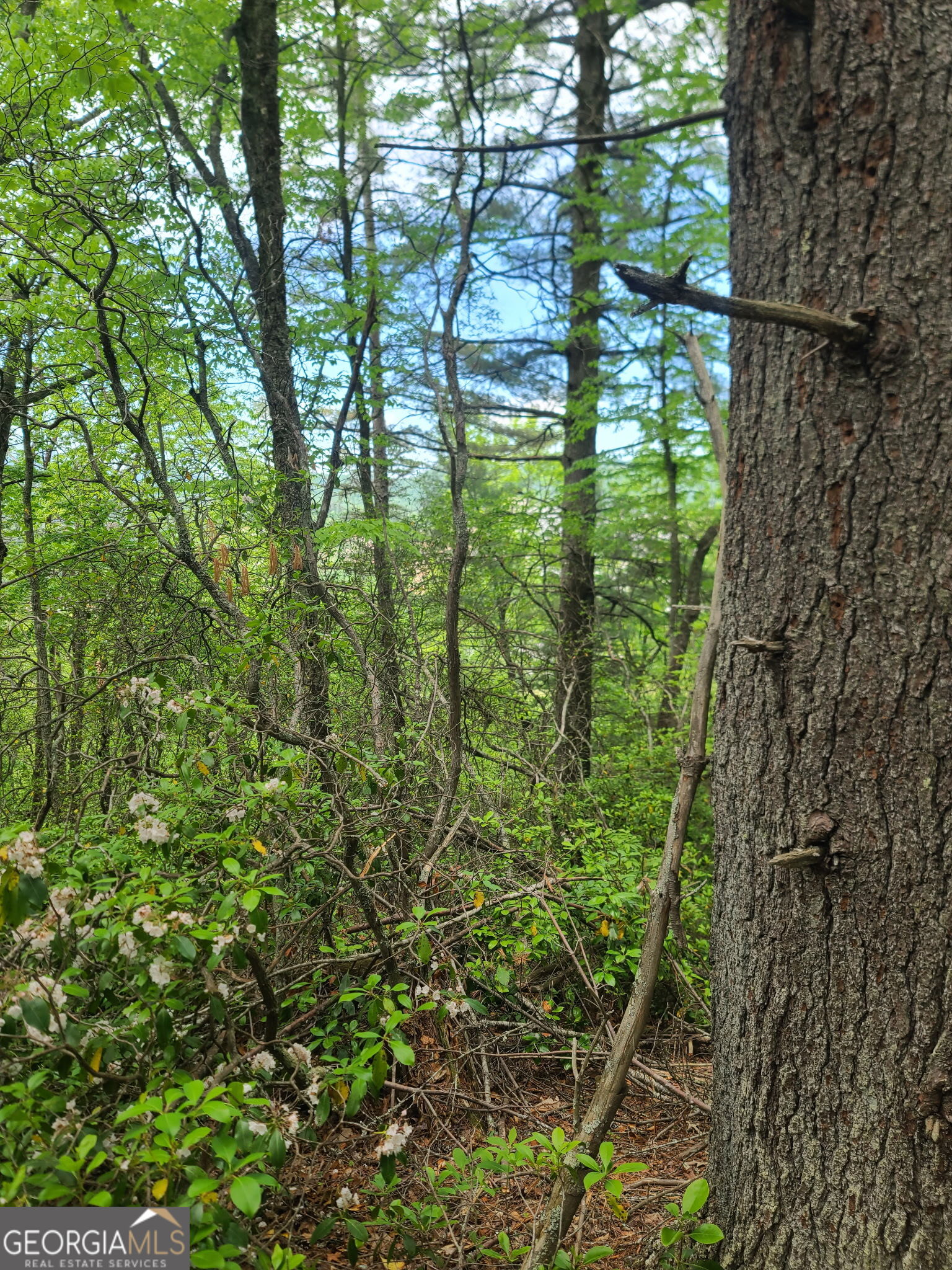 B Shake Hollow Property Photo 10