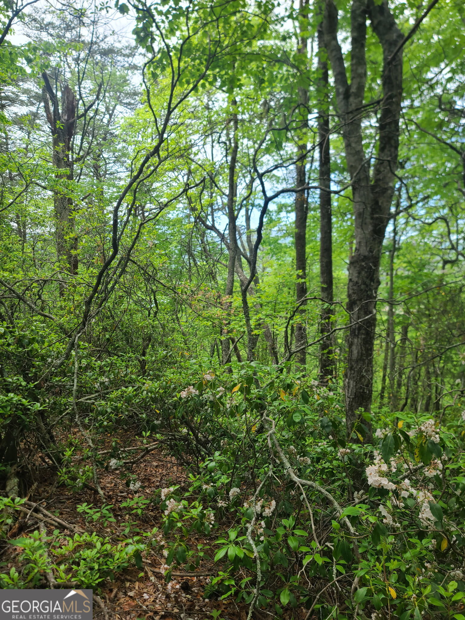 B Shake Hollow Property Photo 11