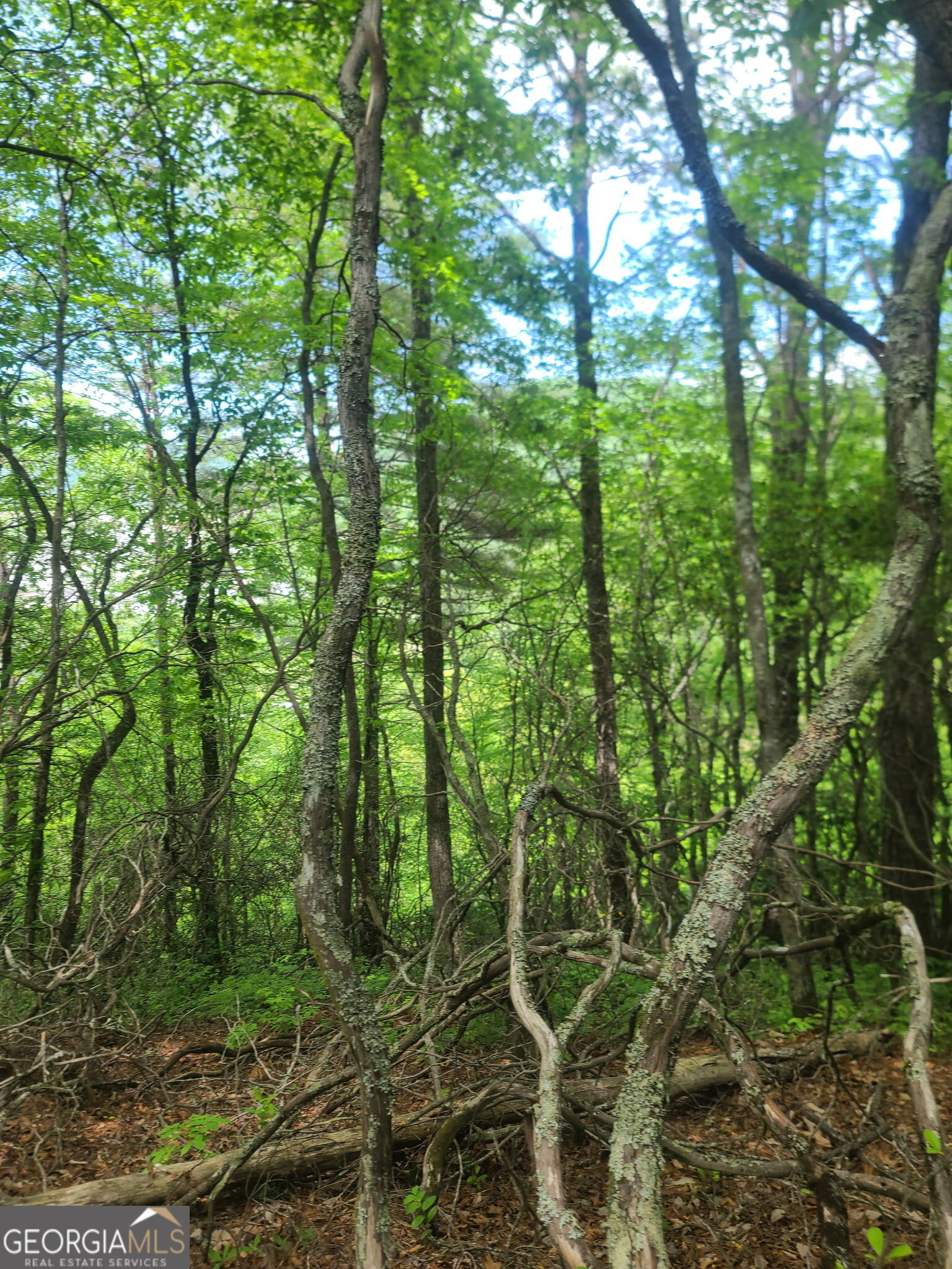 B Shake Hollow Property Photo 12