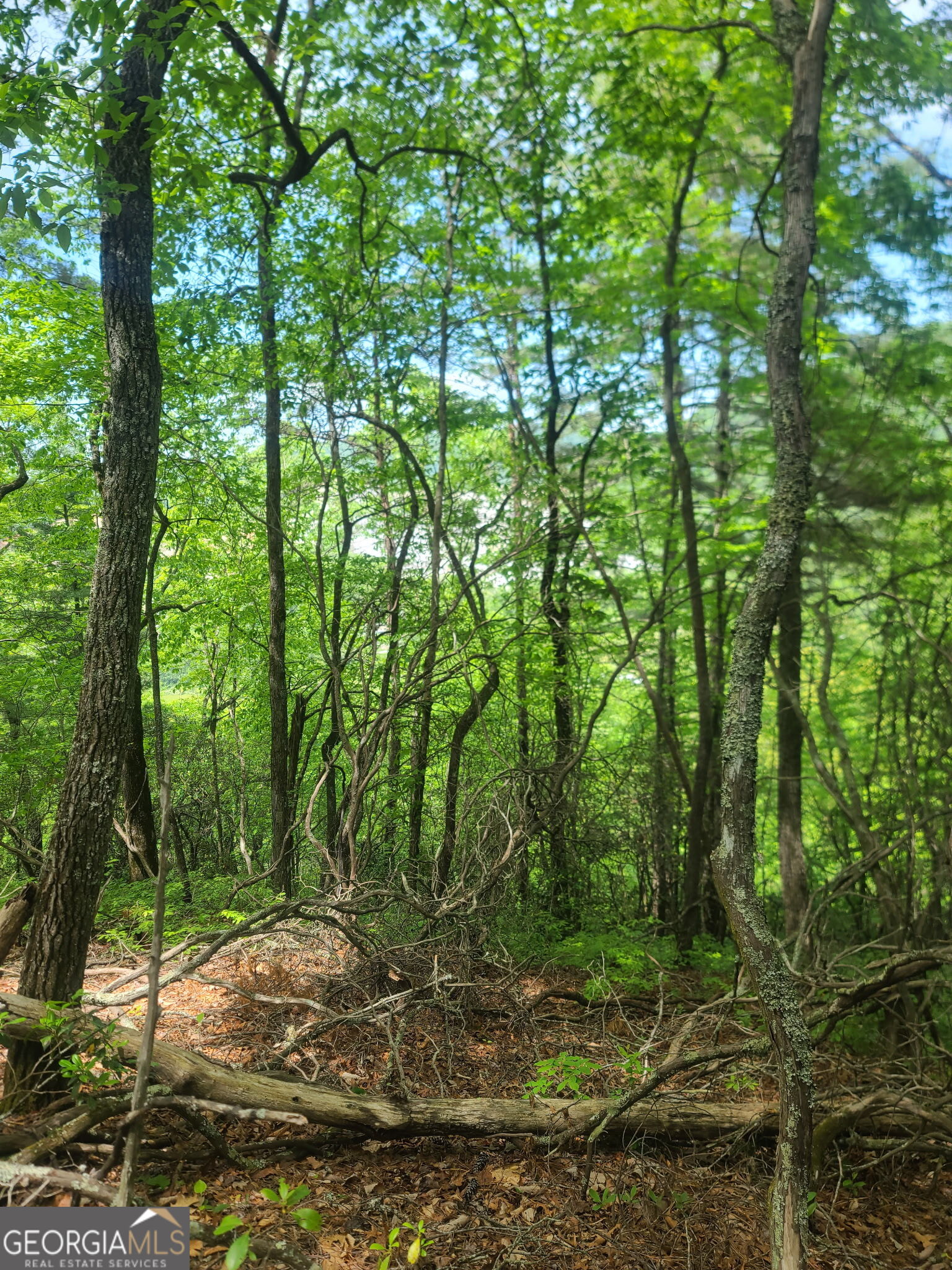 B Shake Hollow Property Photo 13