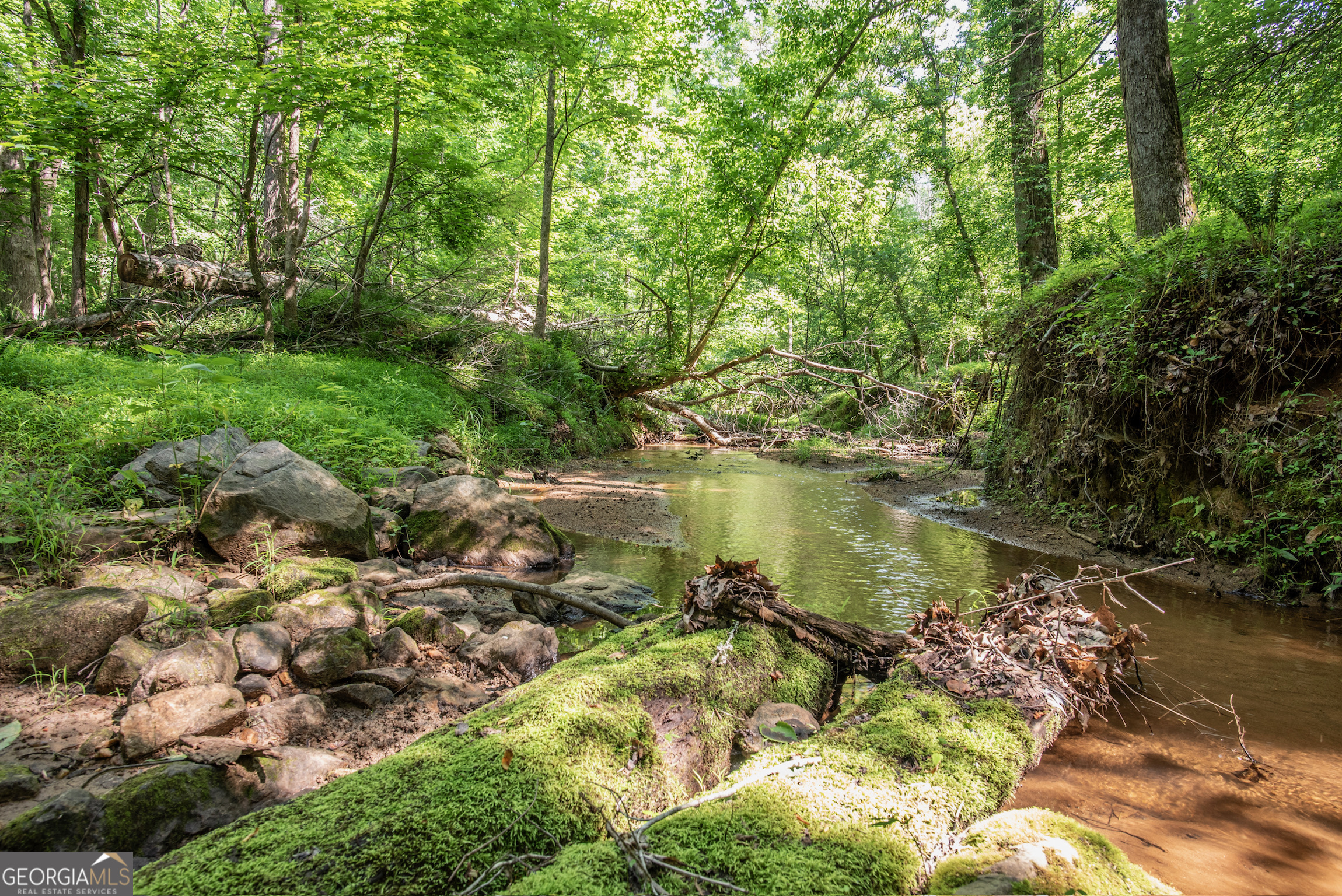 2720 Doster Road Property Photo 47