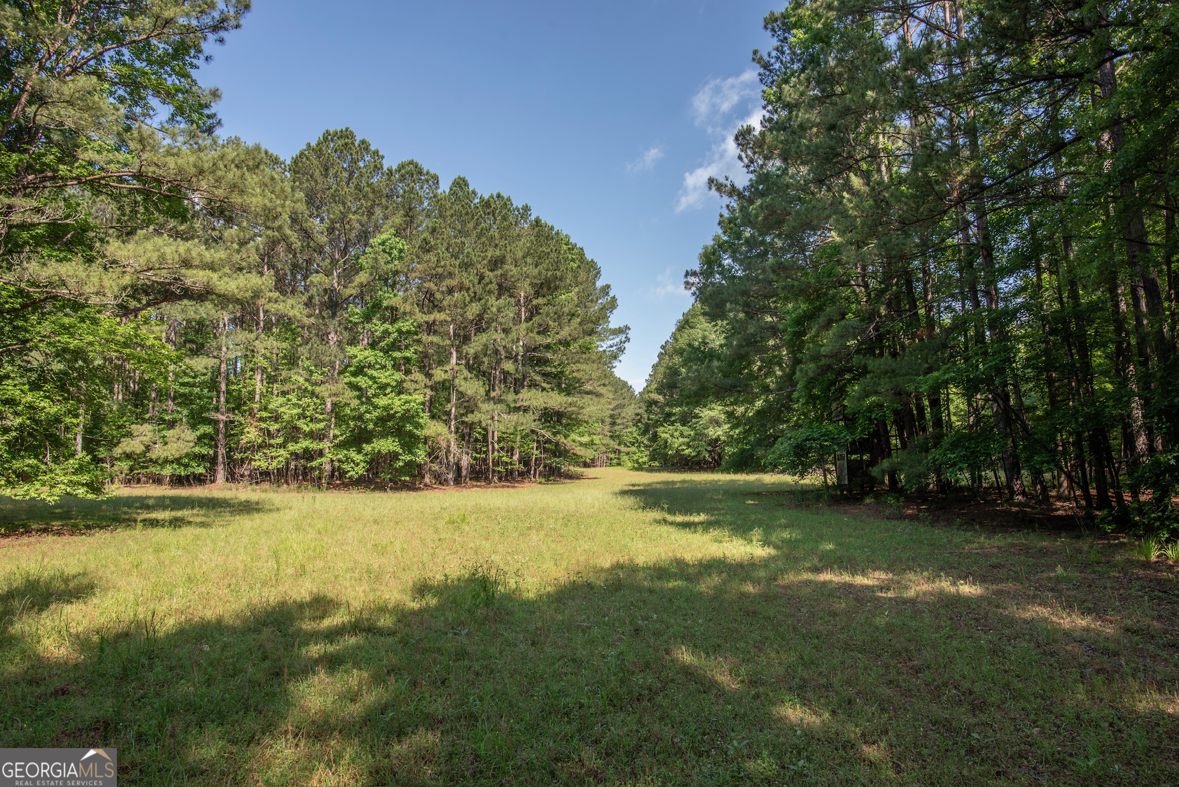 2720 Doster Road Property Photo 49