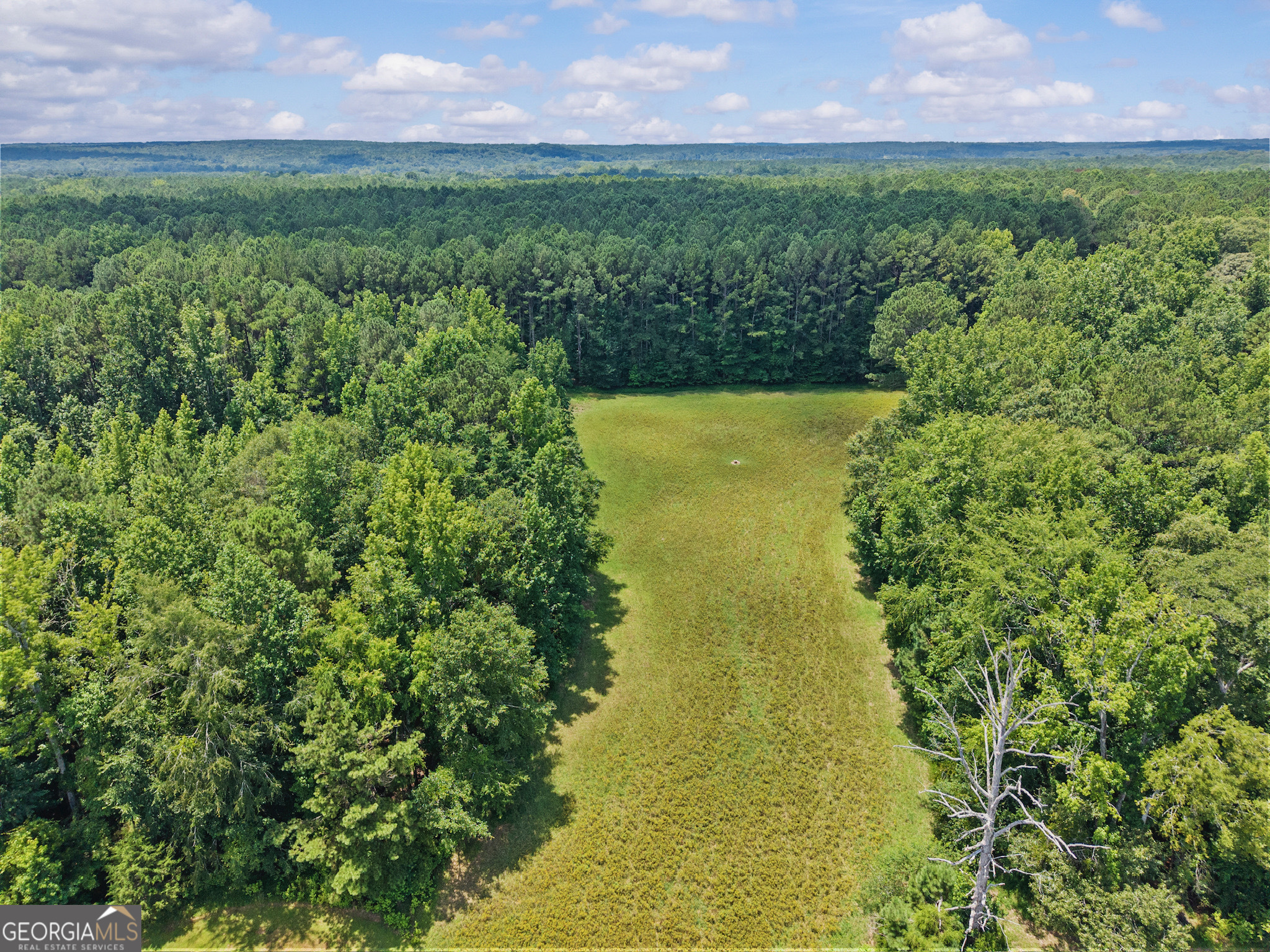 2720 Doster Road Property Photo 54