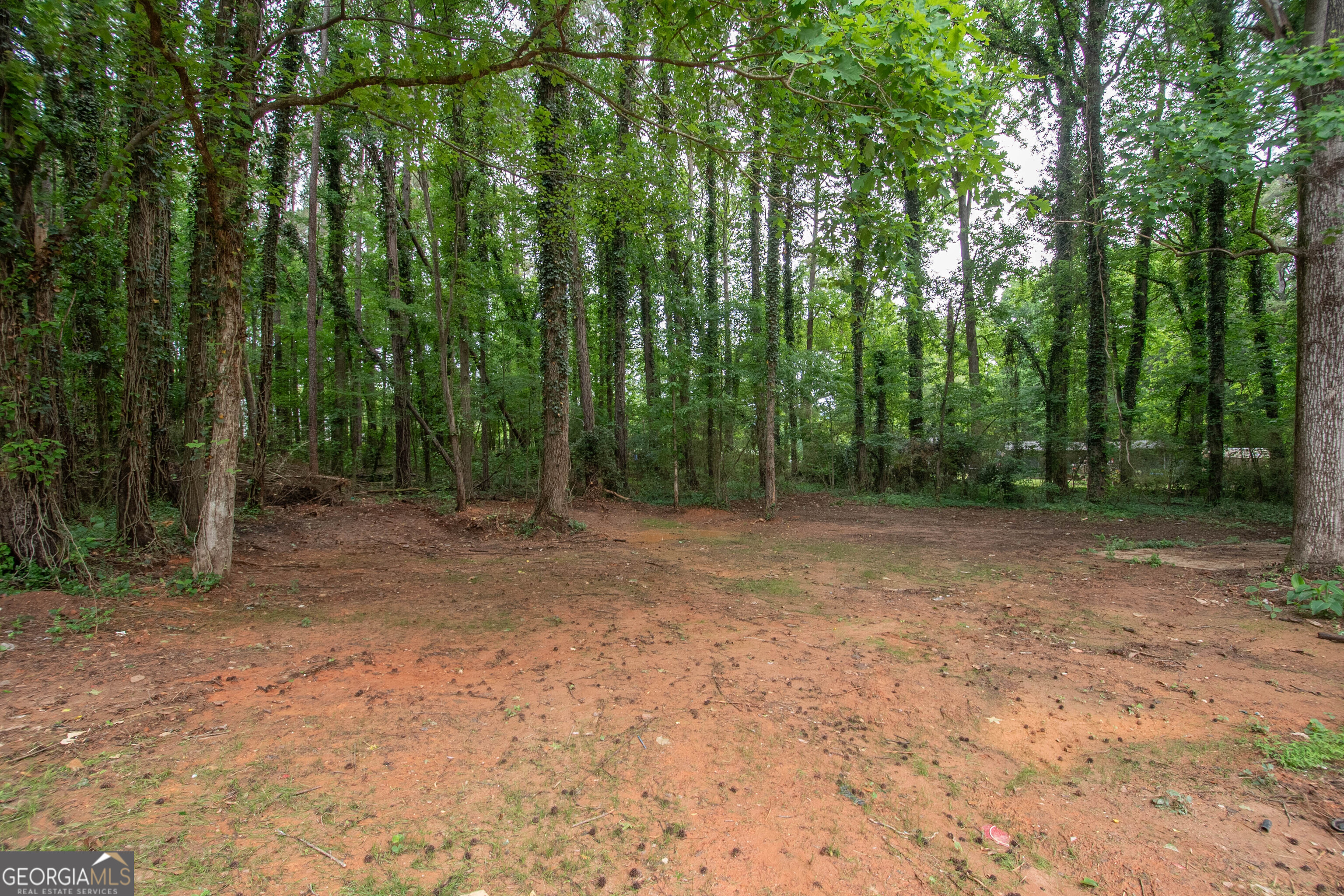 223 Donald Lamb Road Property Photo 35
