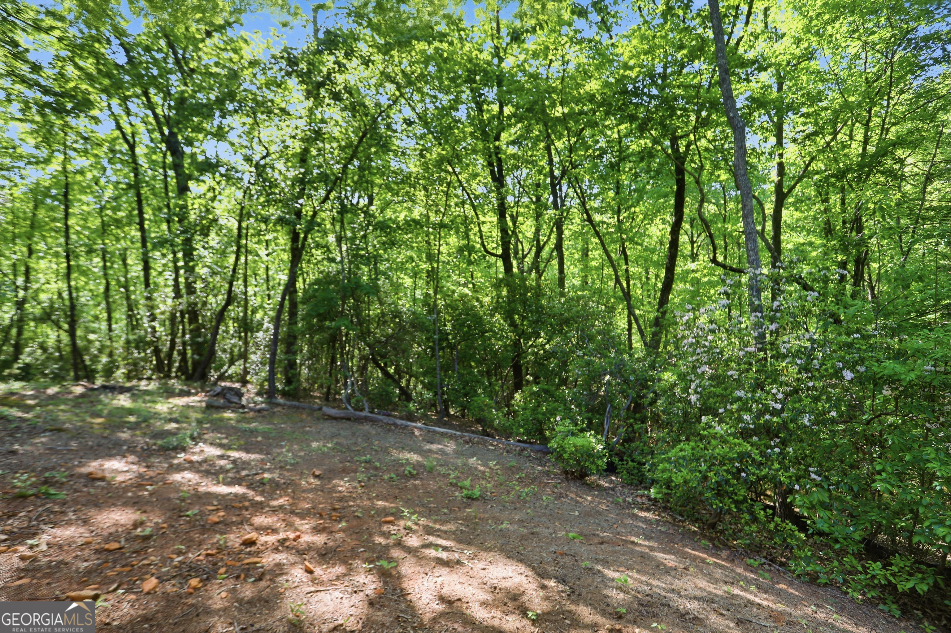 702 Ranch Mountain Drive Property Photo 34