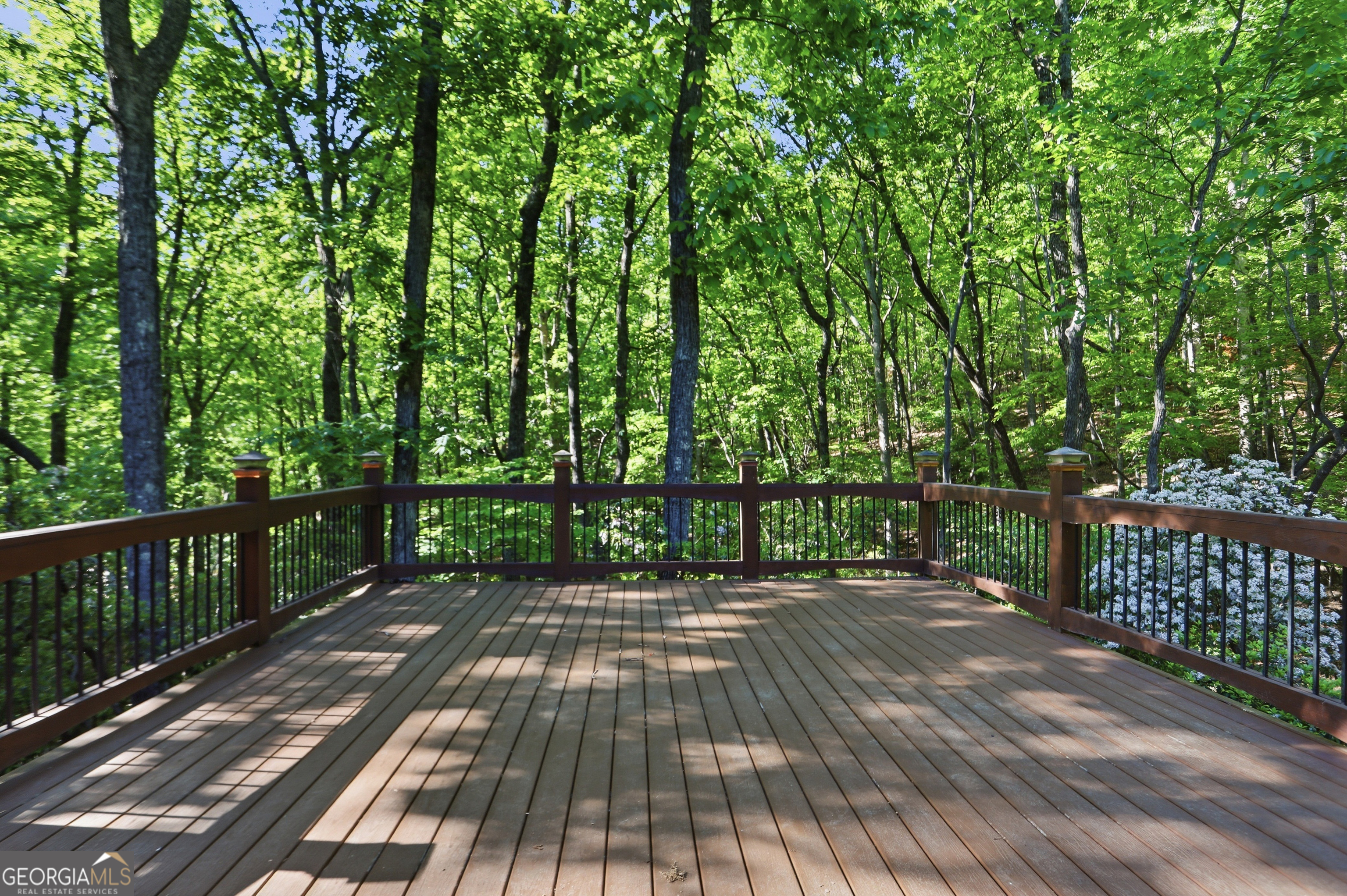 702 Ranch Mountain Drive Property Photo 35