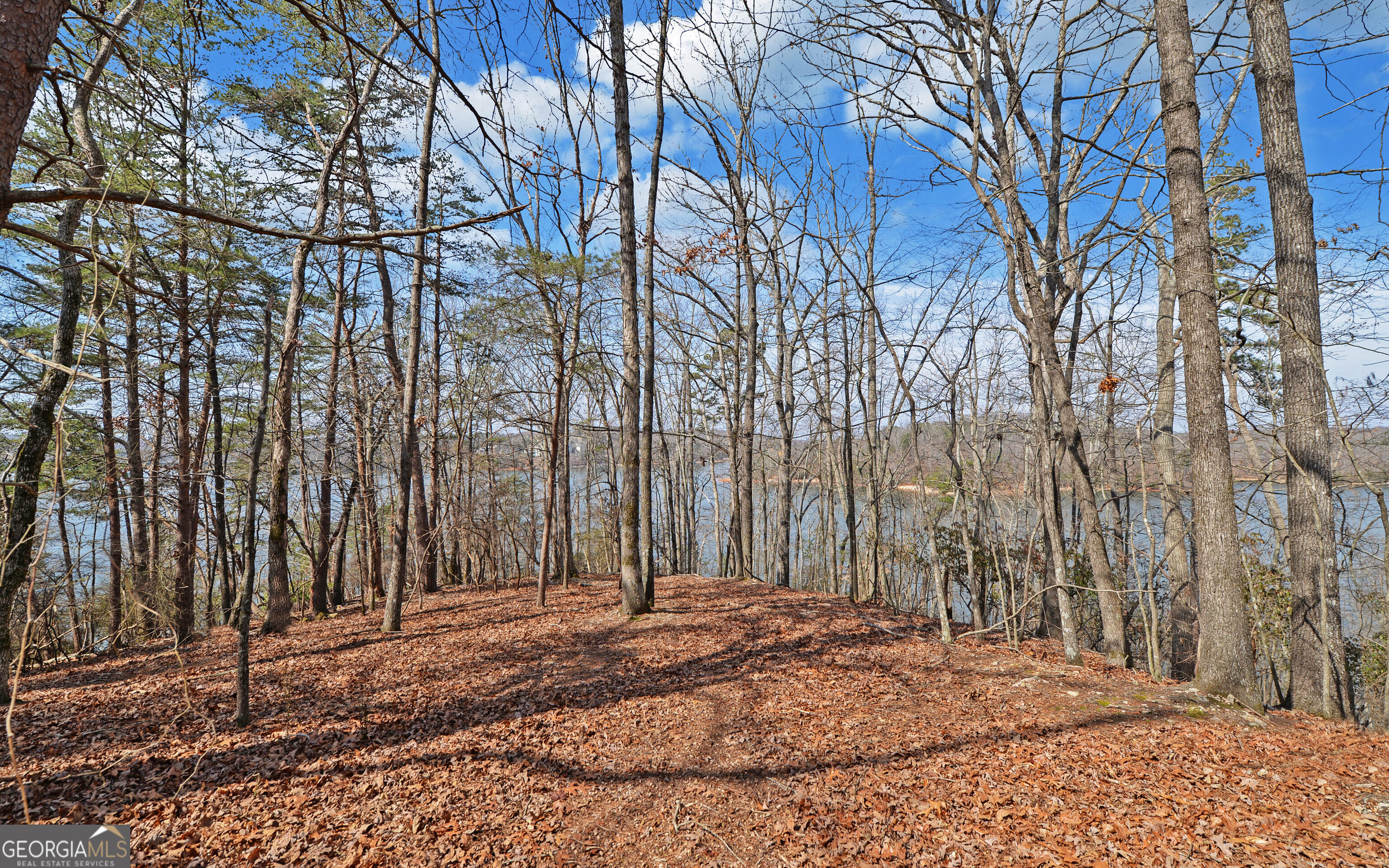 2290 Boy Scout Camp Road Property Photo 1