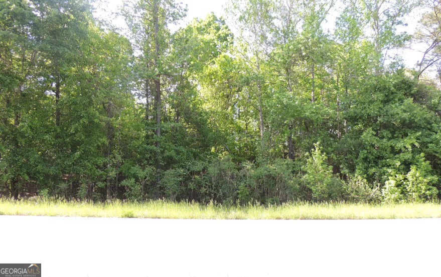 0 Causey Road Property Photo 1