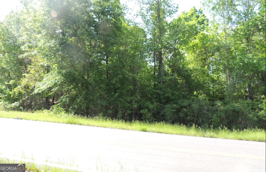 0 Causey Road Property Photo 2